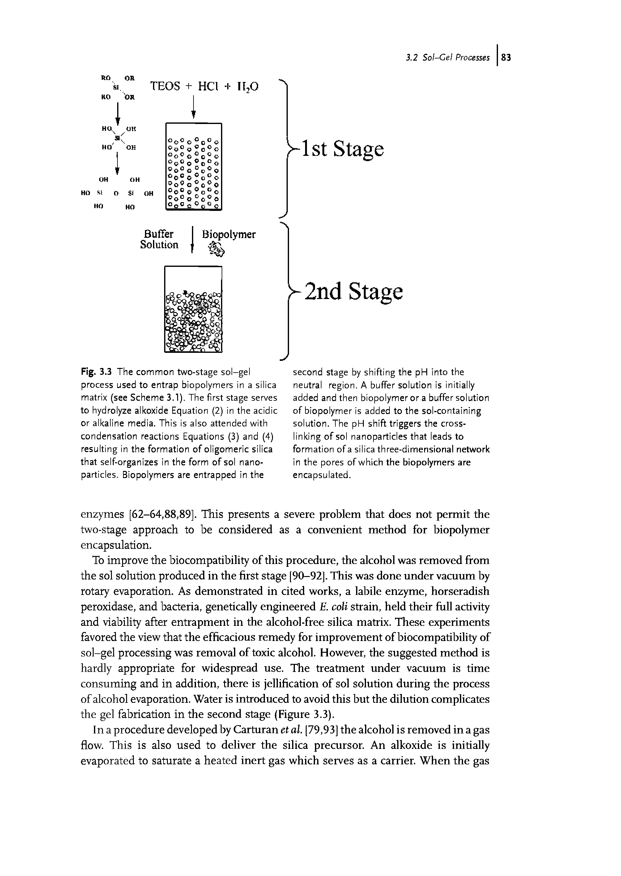 Fig. 3.3 The common two-stage sol-gel process used to entrap biopolymers in a silica matrix (see Scheme 3.1). The first stage serves to hydrolyze alkoxide Equation (2) in the acidic or alkaline media. This is also attended with condensation reactions Equations (3) and (4) resulting in the formation of oligomeric silica that self-organizes in the form of sol nanoparticles. Biopolymers are entrapped in the...