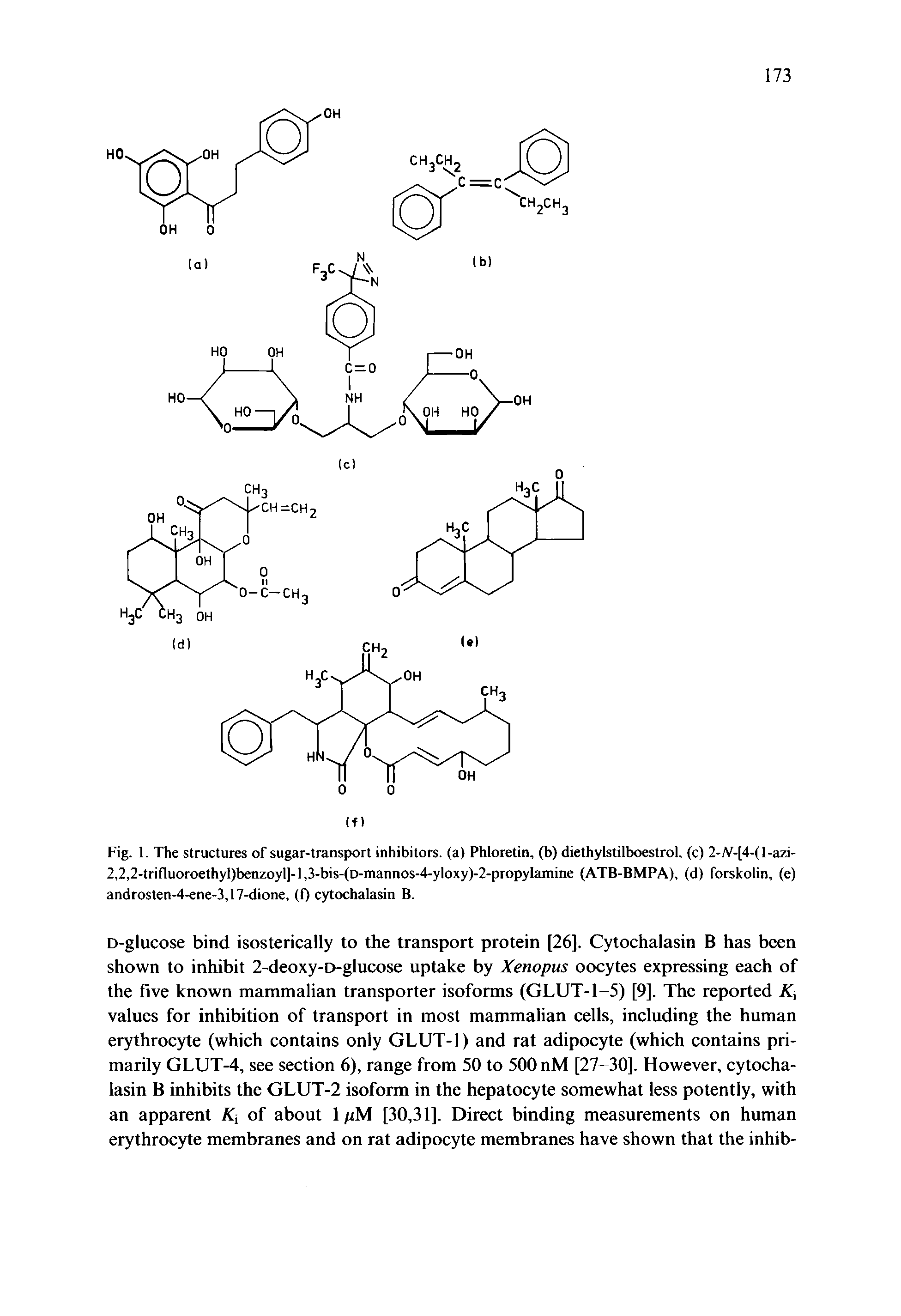 Fig. 1. The structures of sugar-transport inhibitors, (a) Phloretin, (b) diethylstilboestrol, (c) 2-A -[4-(l-azi-2,2,2-trifluoroethyl)benzoyl]-l,3-bis-(D-mannos-4-yloxy)-2-propylamine (ATB-BMPA), (d) forskolin, (e) androsten-4-ene-3,17-dione, (0 cytochalasin B.