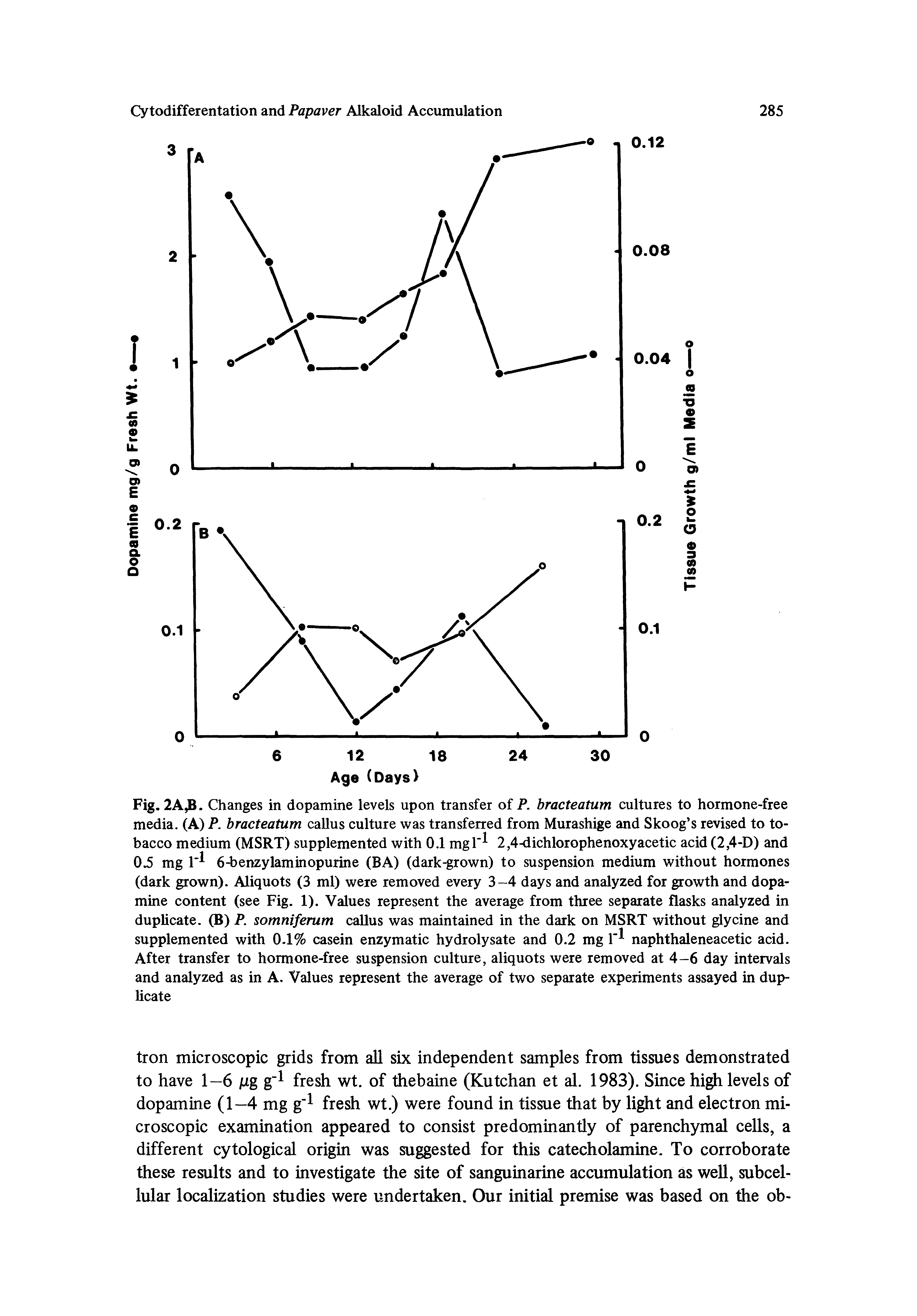 Fig. 2A. Changes in dopamine levels upon transfer of P. bracteatum cultures to hormone-free media. (A) P. bracteatum callus culture was transferred from Murashige and Skoog s revised to tobacco medium (MSRT) supplemented with 0.1 mgl 2,4-dichlorophenoxyacetic acid (2,4-D) and 0.5 mg 6-benzylaminopurine (BA) (dark-grown) to suspension medium without hormones (dark grown). Aliquots (3 ml) were removed every 3-4 days and analyzed for growth and dopamine content (see Fig. 1). Values represent the average from three separate flasks analyzed in duplicate. (B) P. somniferum caUus was maintained in the dark on MSRT without glycine and supplemented with 0-1% casein enzymatic hydrolysate and 0.2 mg naphthaleneacetic acid. After transfer to hormone-free suspension culture, aliquots were removed at 4-6 day intervals and analyzed as in A. Values represent the average of two separate experiments assayed in duplicate...