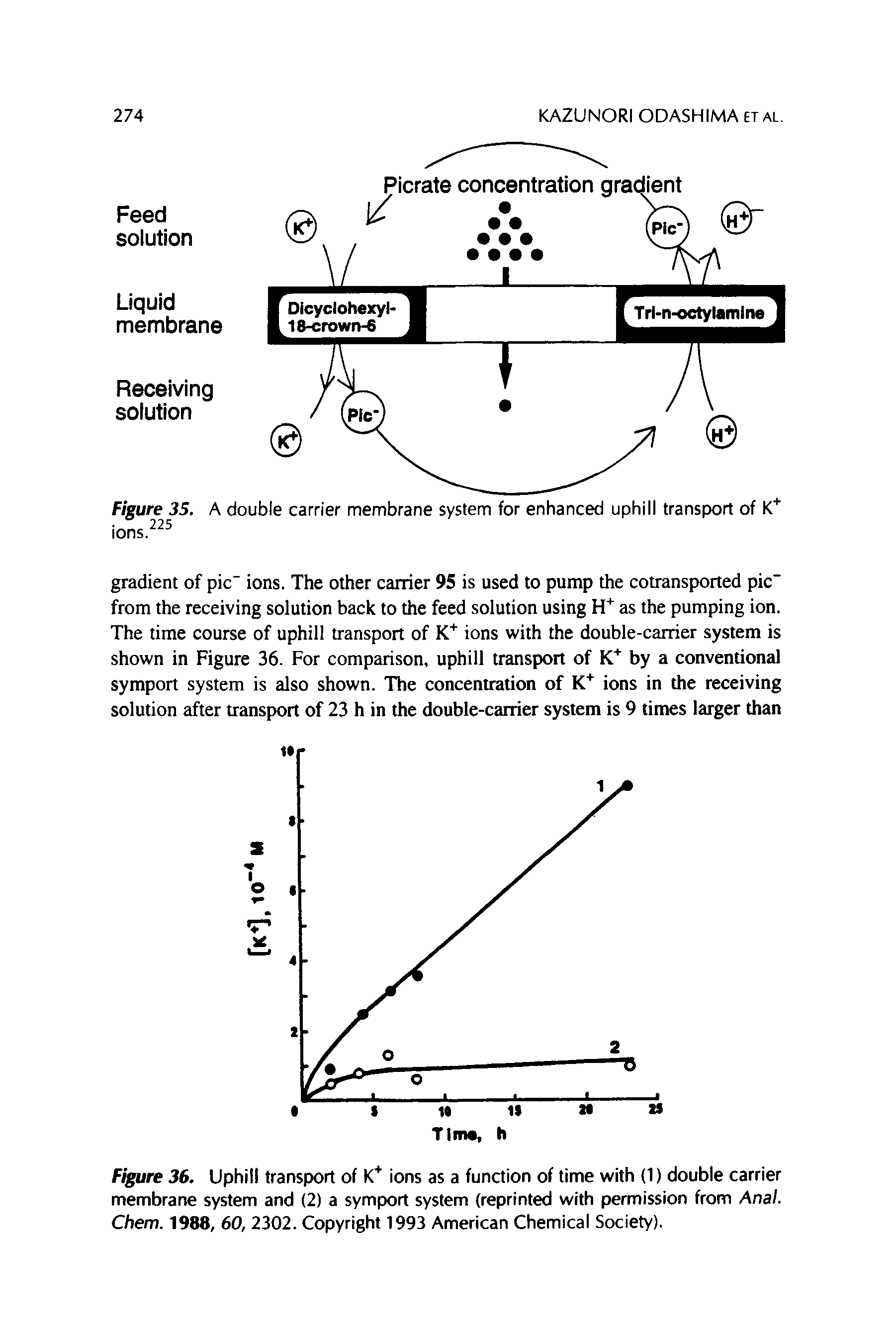Figure 36. Uphill transport of K ions as a function of time with (1) double carrier membrane system and (2) a symport system (reprinted with permission from Anal. Chem. 1988, 60, 2302. Copyright 1993 American Chemical Society).