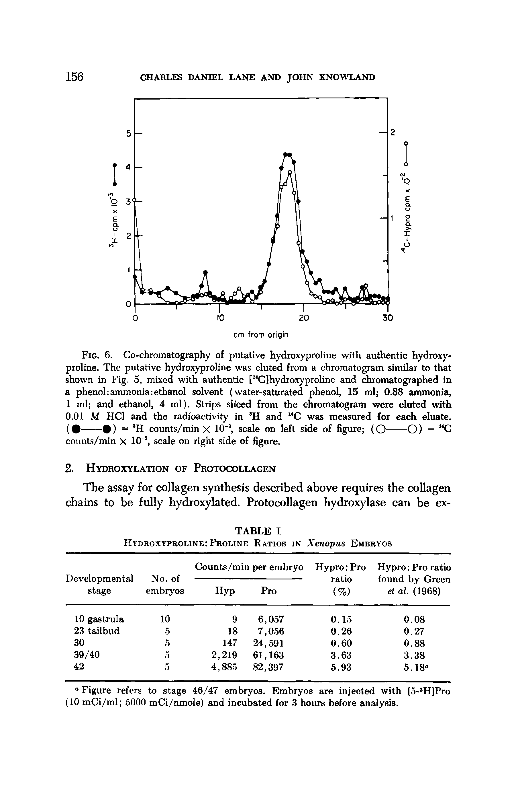 Fig. 6. Co-chromatography of putative hydroxyproline with authentic hydroxy-proline. The putative hydroxyproline was eluted from a chromatogram similar to that shown in Fig. 5, mixed with authentic [ C]hydroxyproline and chromatographed in a phenol ammonia ethanol solvent (water-saturated phenol, 15 ml 0.88 ammonia, 1 ml and ethanol, 4 ml). Strips sliced from the chromatogram were eluted with 0.01 M HCl and the radioactivity in H and C was measured for each eluate.