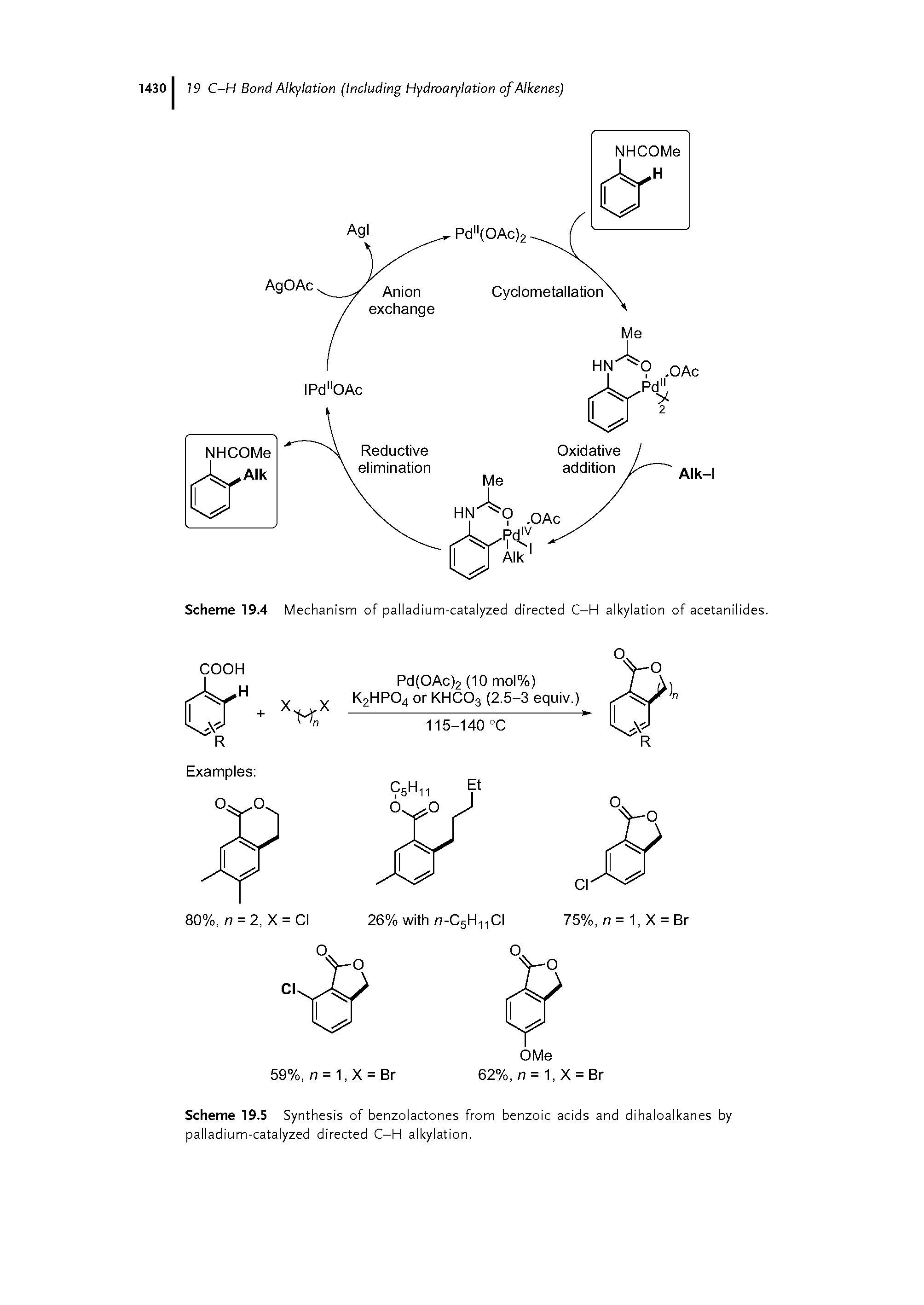 Scheme 19.4 Mechanism of palladium-catalyzed directed C-H alkylation of acetanilides.