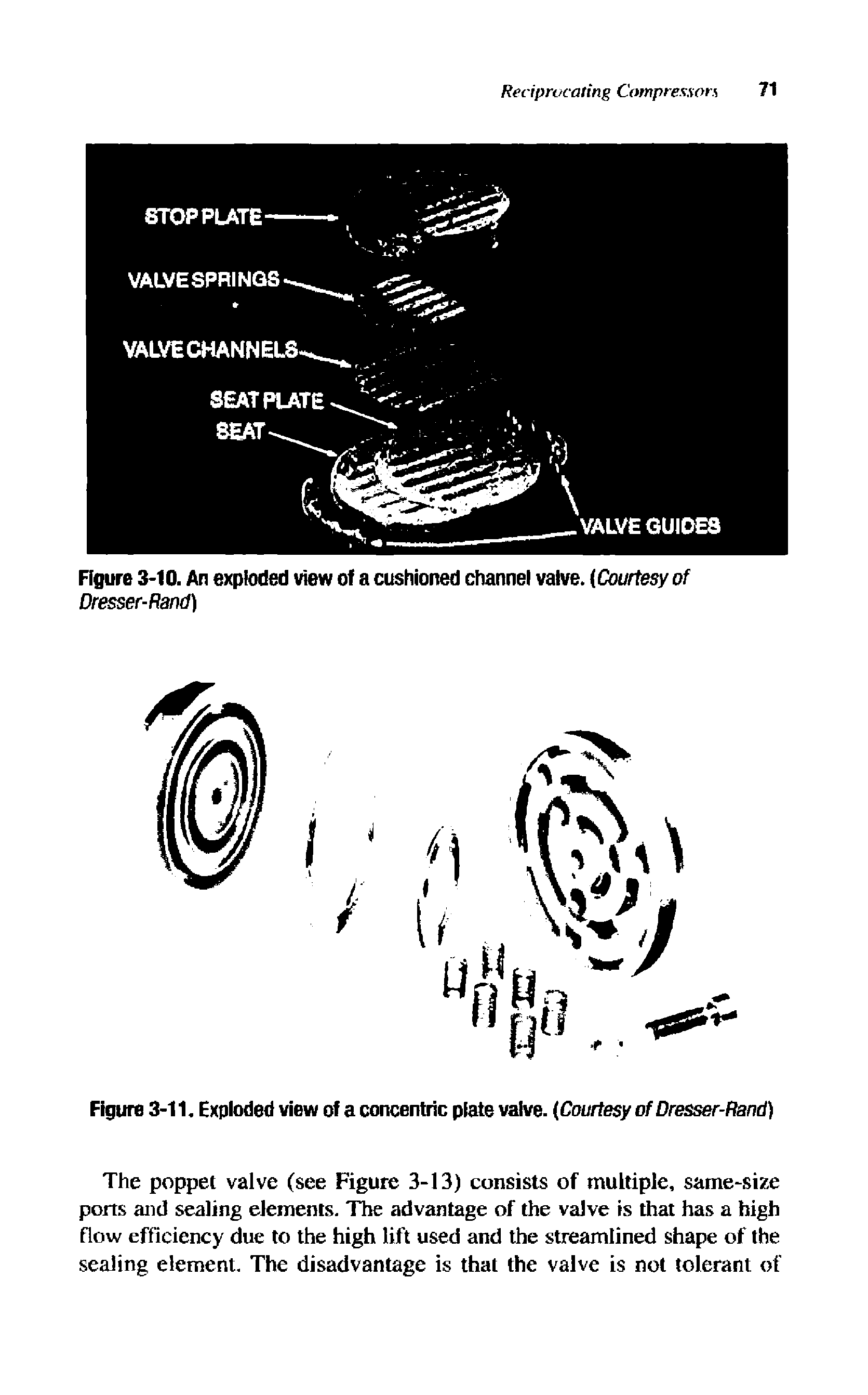 Figure 3-10. An exploded view of a cushioned channel valve. Courtesy of Dresser-Rand)...