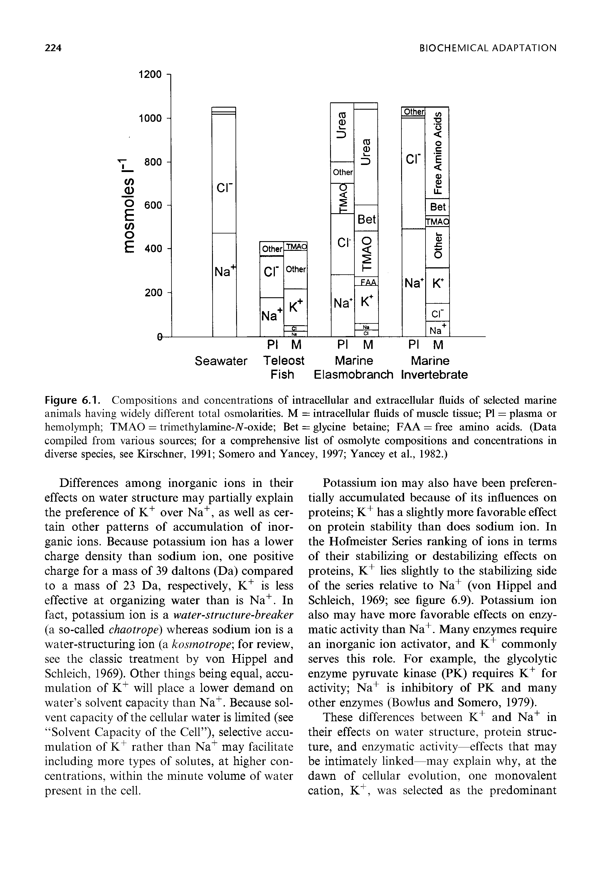 Figure 6.1. Compositions and concentrations of intracellular and extracellular fluids of selected marine animals having widely different total osmolarities. M = intracellular fluids of muscle tissue PI = plasma or hemolymph TMAO = trimethylamine-A-oxide Bet = glycine betaine FAA = free amino acids. (Data compiled from various sources for a comprehensive list of osmolyte compositions and concentrations in diverse species, see Kirschner, 1991 Somero and Yancey, 1997 Yancey et al., 1982.)...