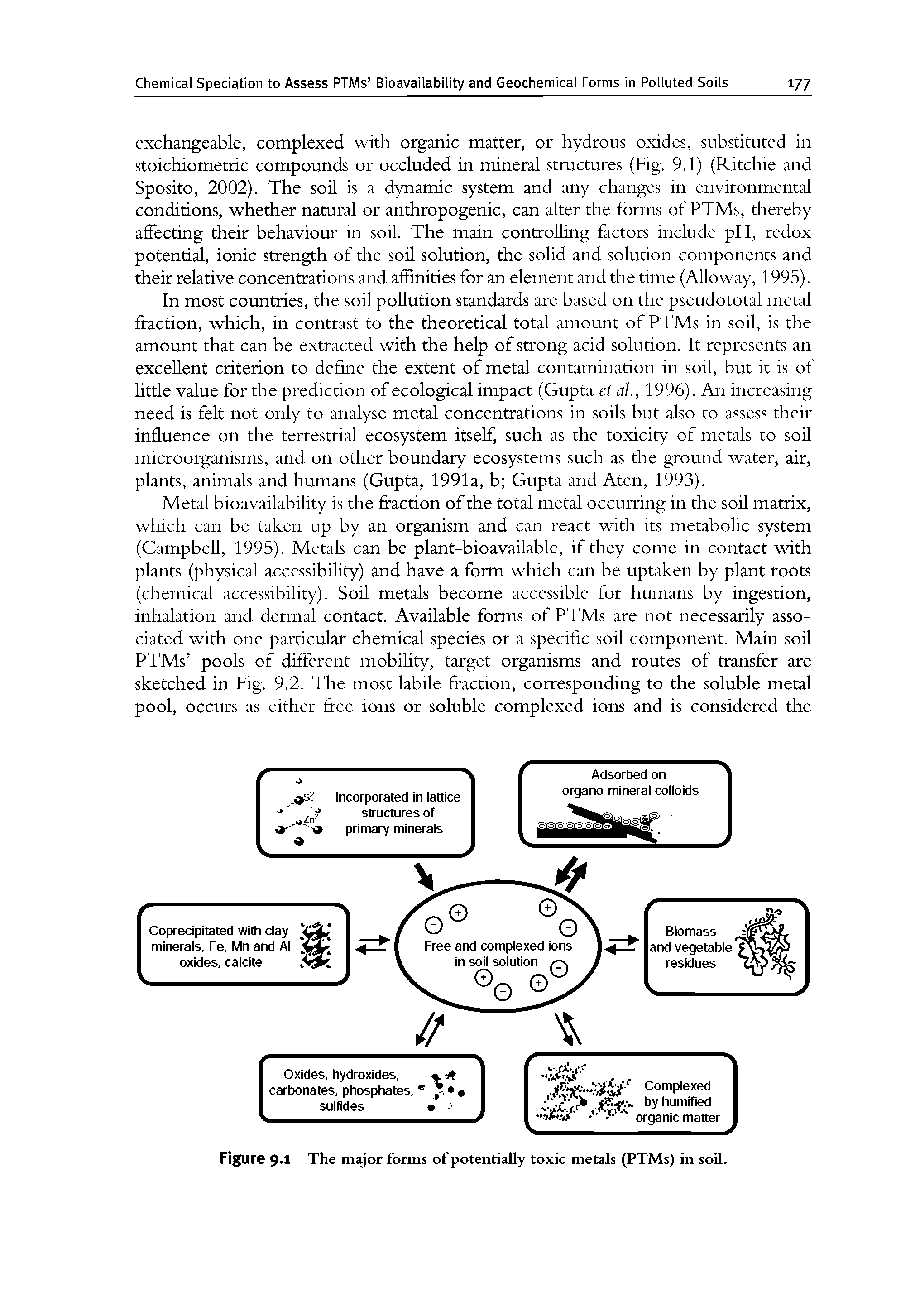 Figure 9 1 The major forms of potentially toxic metals (PTMs) in soil.