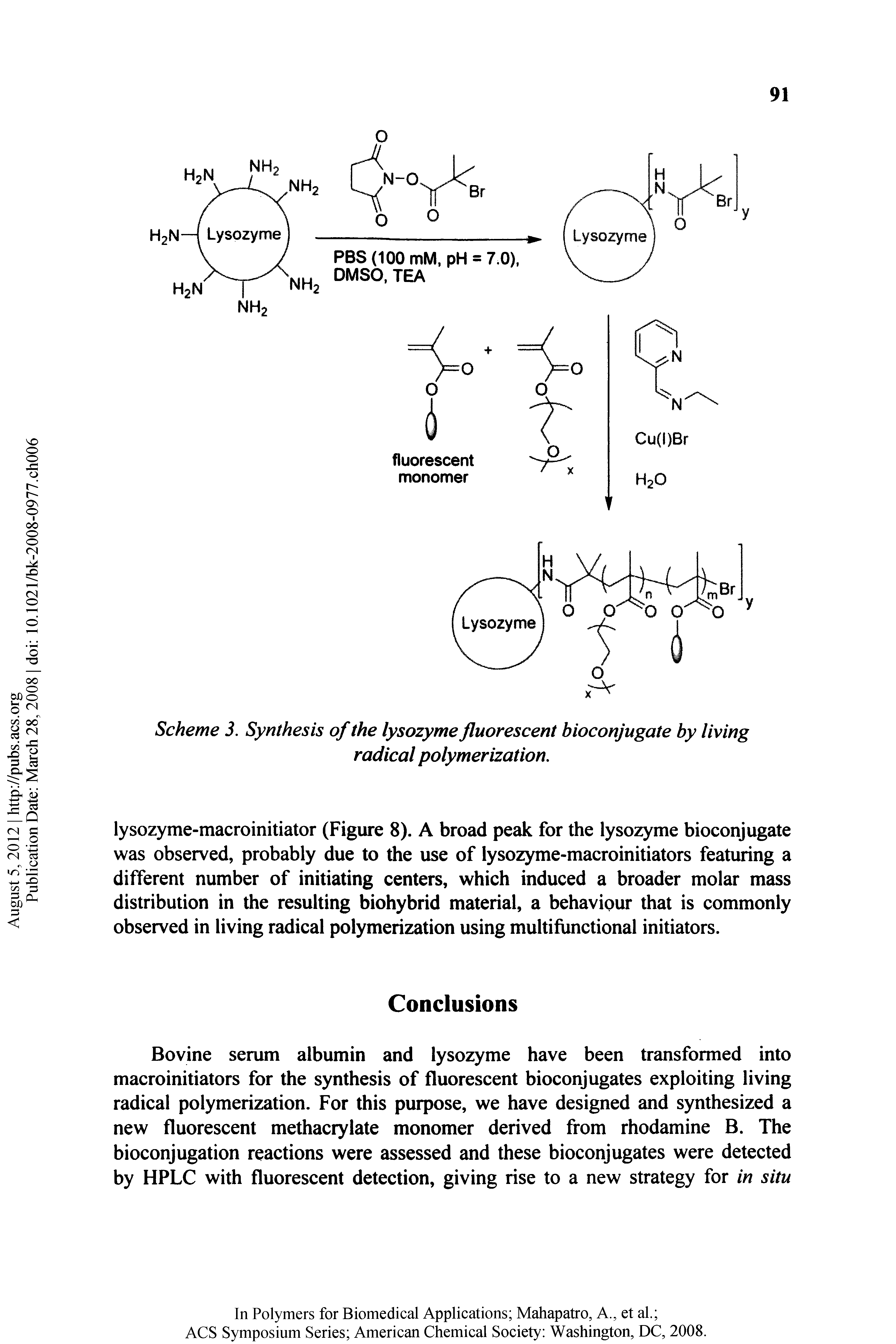Scheme 3. Synthesis of the lysozyme fluorescent bioconjugate by living radical polymerization.