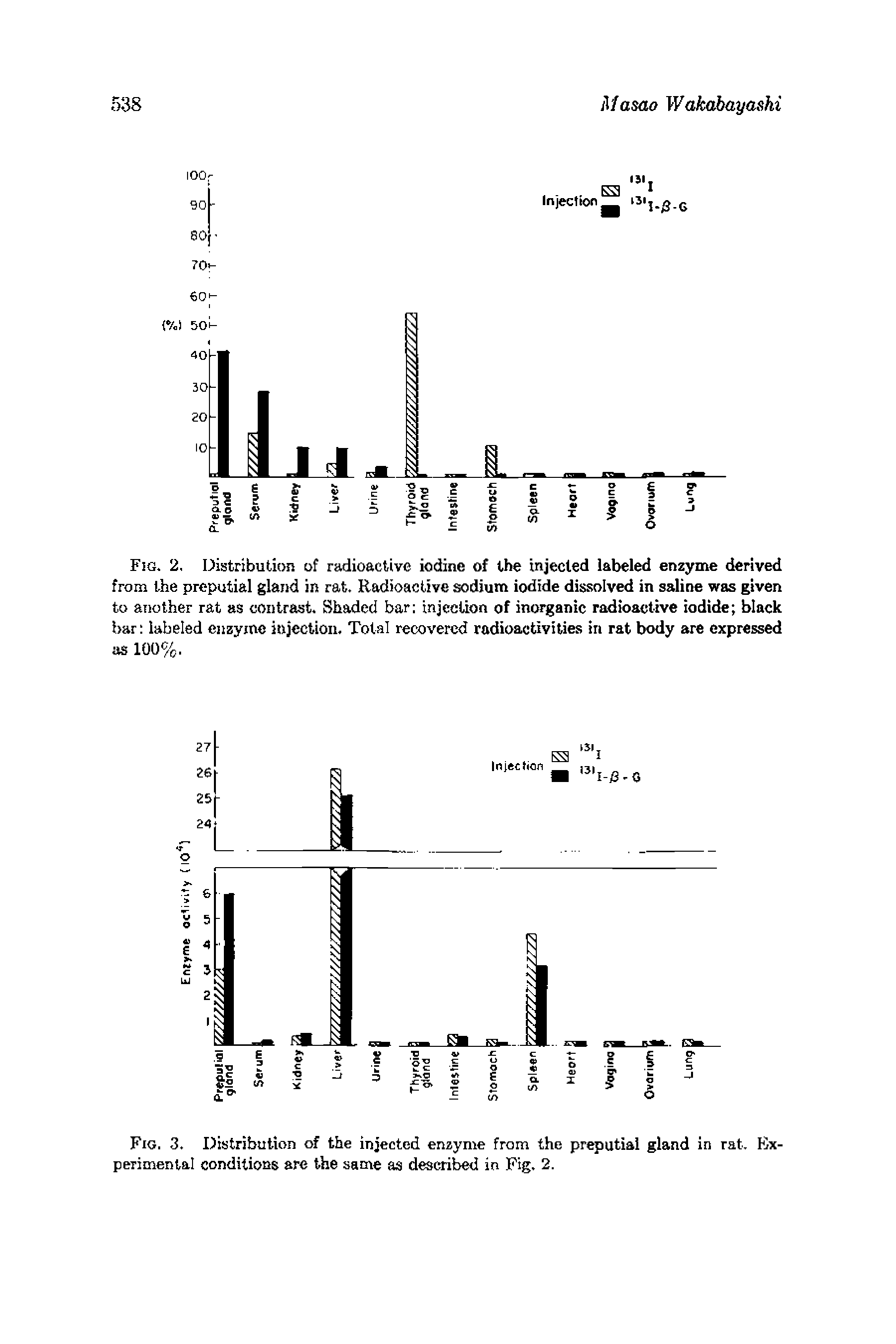 Fig. 2. Distribution of radioactive iodiiie of the injected labeled enzyme derived from the preputial gland in rat. Radioactive sodium iodide dissolved in saline was given to another rat as contrast. Shaded bar injection of incn anic radioactive iodide black bar labeled enzyme injection. Total recovered radioactiviUes in rat body are expressed as 100%.