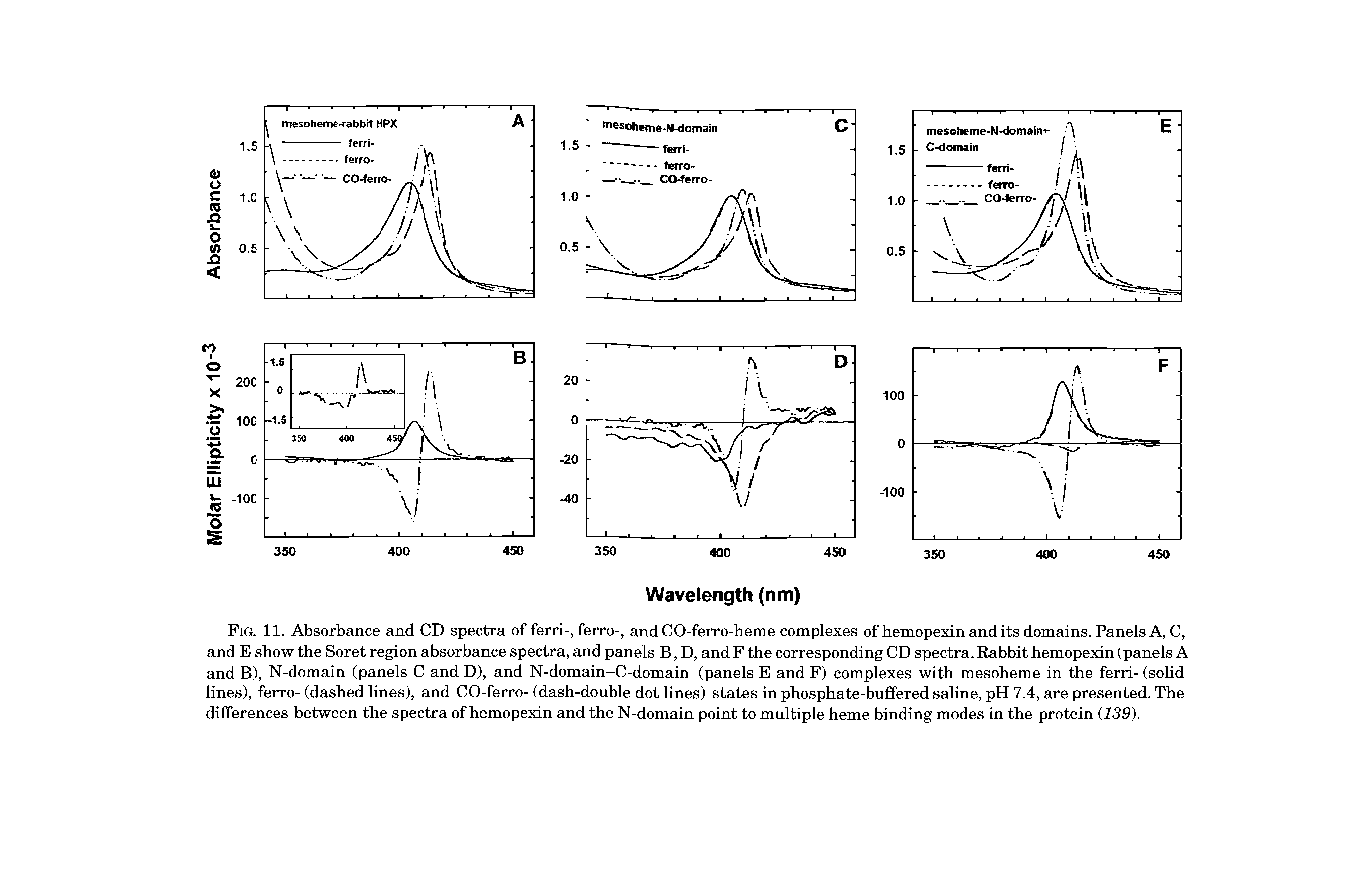 Fig. 11. Absorbance and CD spectra of ferri-, ferro-, and CO-ferro-heme complexes of hemopexin and its domains. Panels A, C, and E show the Soret region absorbance spectra, and panels B, D, and F the corresponding CD spectra. Rabbit hemopexin (panels A and B), N-domain (panels C and D), and N-domain-C-domain (panels E and F) complexes with mesoheme in the ferri- (solid lines), ferro- (dashed lines), and CO-ferro- (dash-double dot lines) states in phosphate-buffered saline, pH 7.4, are presented. The differences between the spectra of hemopexin and the N-domain point to multiple heme binding modes in the protein (139).