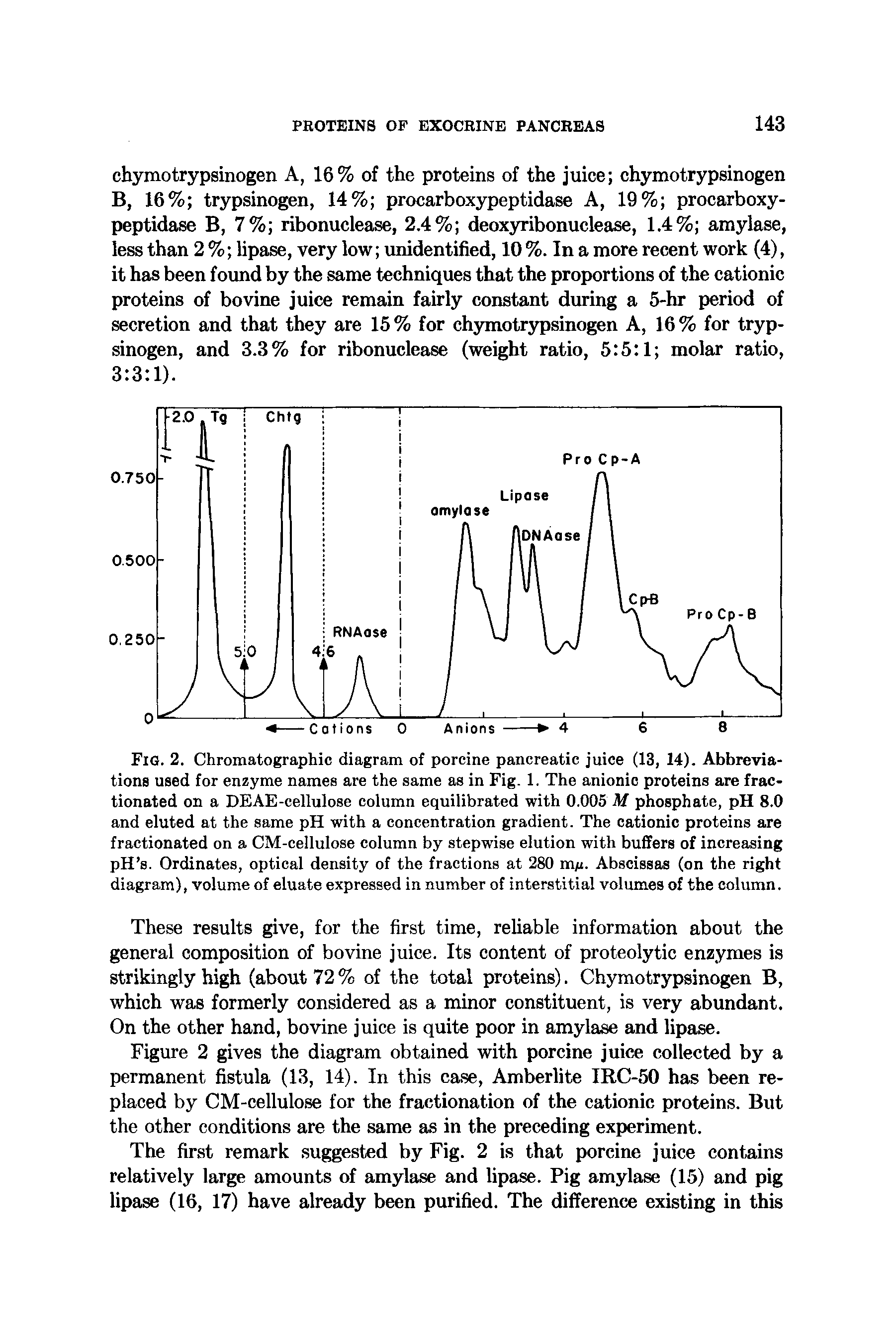 Fig. 2. Chromatographic diagram of porcine pancreatic juice (13, 14). Abbreviations used for enzyme names are the same as in Fig. 1. The anionic proteins are fractionated on a DEAE-cellulose column equilibrated with 0.005 M phosphate, pH 8.0 and eluted at the same pH with a concentration gradient. The cationic proteins are fractionated on a CM-celluIose column by stepwise elution with buffers of increasing pH s. Ordinates, optical density of the fractions at 280 m/j. Abscissas (on the right diagram), volume of eluate expressed in number of interstitial volumes of the column.