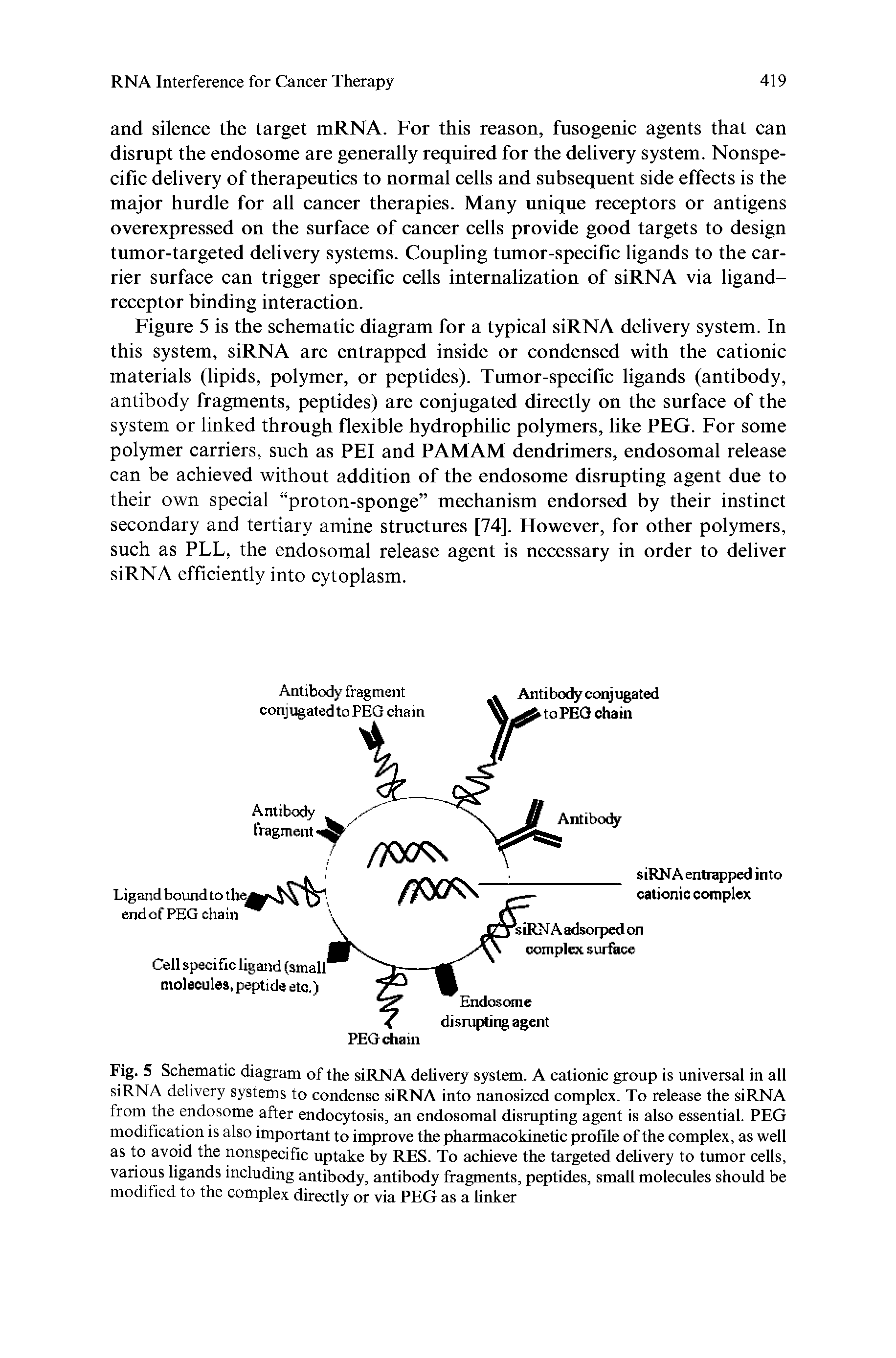 Fig. 5 Schematic diagram of the siRNA delivery system. A cationic group is universal in all siRNA delivery systems to condense siRNA into nanosized complex. To release the siRNA from the endosome after endocytosis, an endosomal disrupting agent is also essential. PEG modification is also important to improve the pharmacokinetic profile of the complex, as well as to avoid the nonspecific uptake by RES. To achieve the targeted delivery to tumor cells, various ligands including antibody, antibody fragments, peptides, small molecules should be modified to the complex directly or via PEG as a linker...
