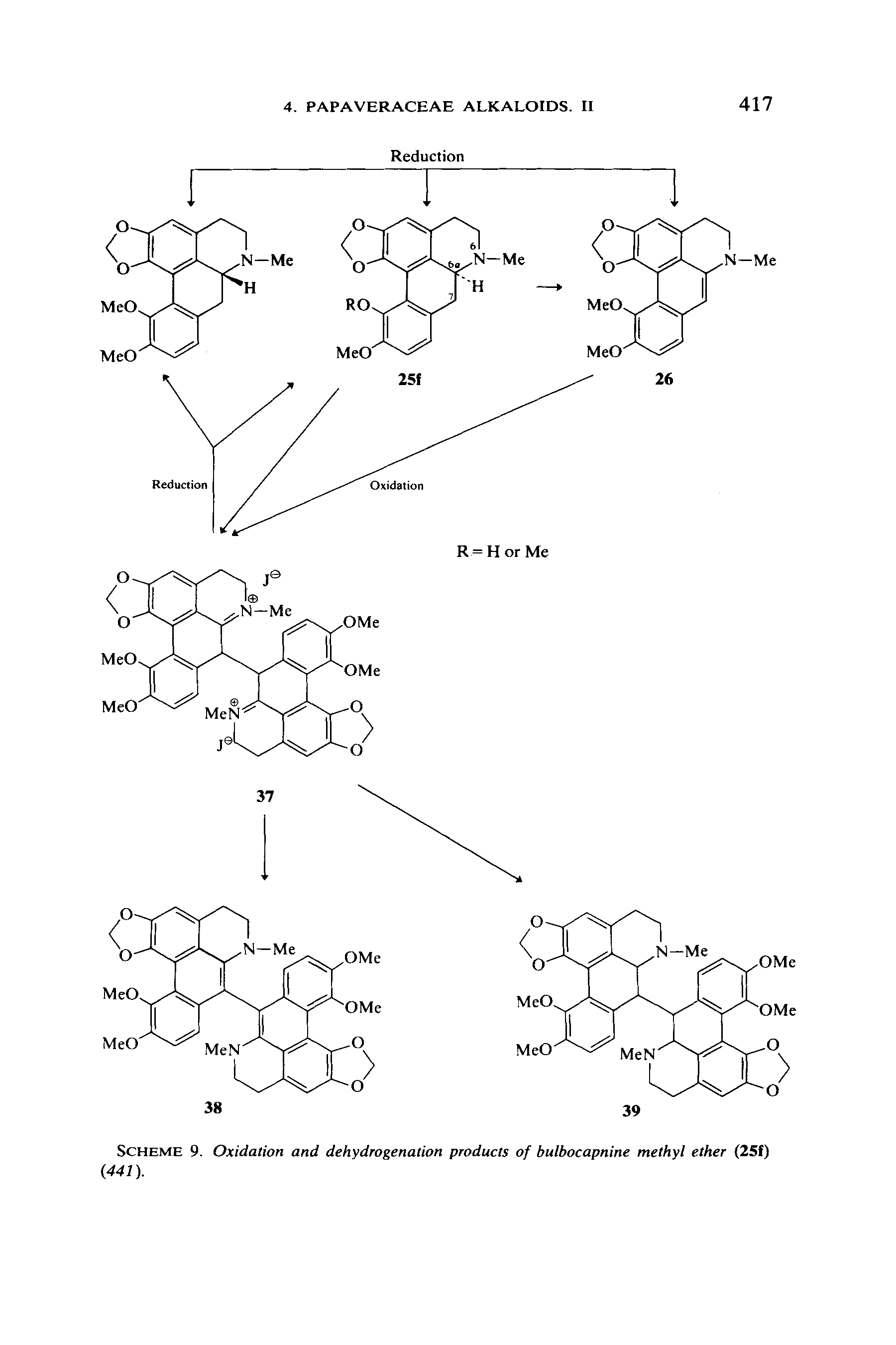 Scheme 9. Oxidation and dehydrogenation products of bulbocapnine methyl ether (25f)...