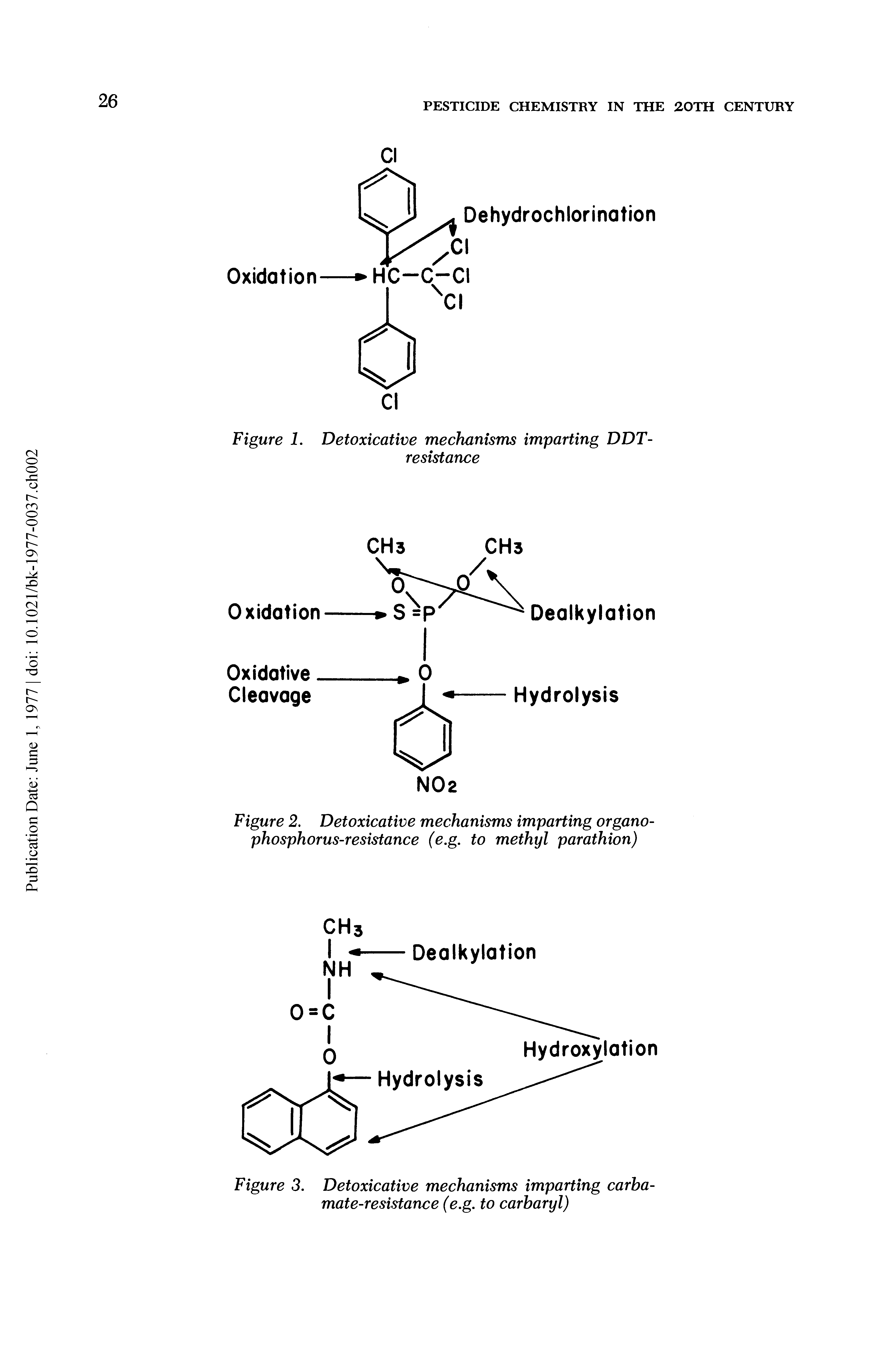 Figure 3. Detoxicative mechanisms imparting carbamate-resistance (e.g. to carbaryl)...