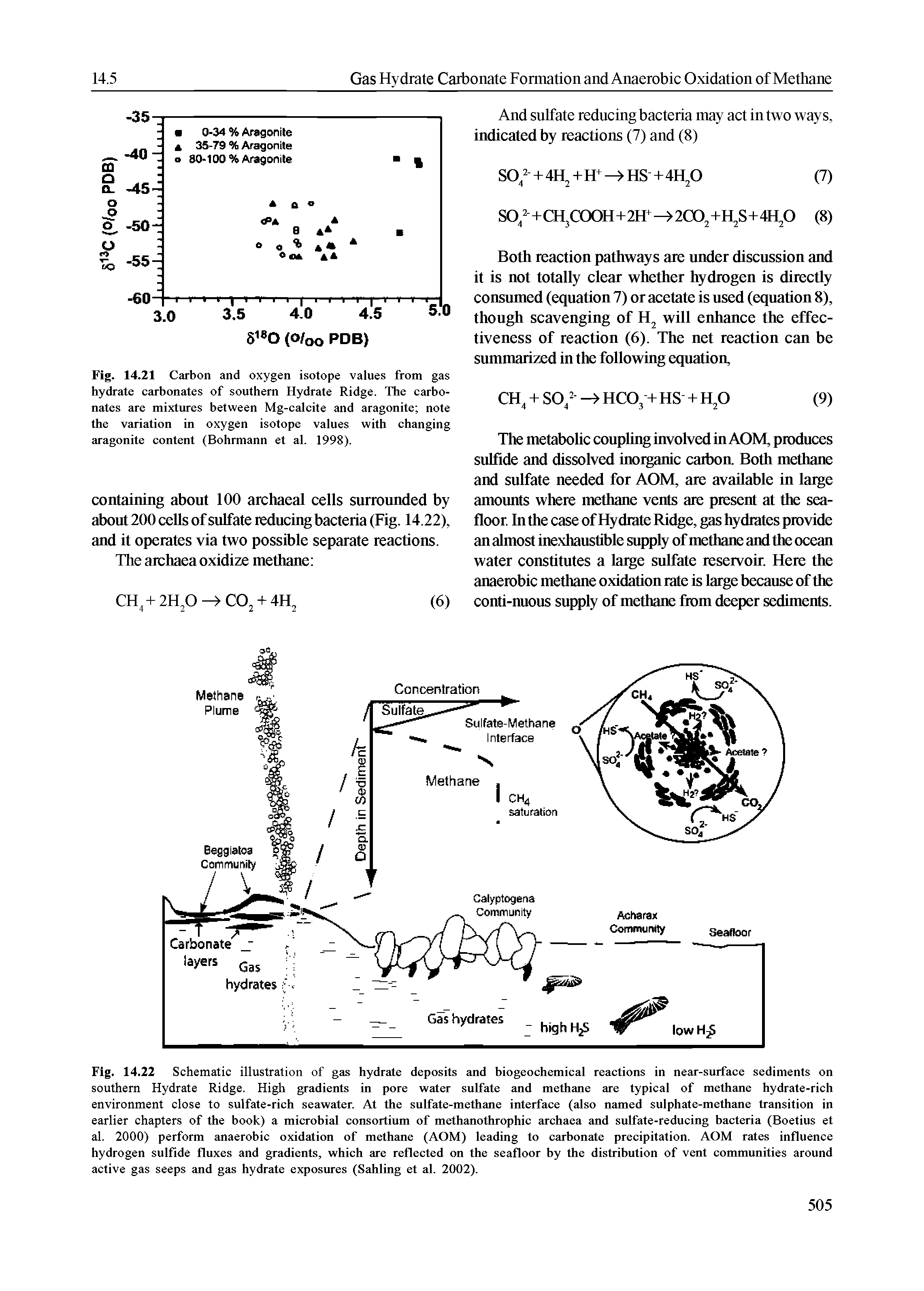 Fig. 14.22 Schematic illustration of gas hydrate deposits and biogeochemical reactions in near-surface sediments on southern Hydrate Ridge. High gradients in pore water sulfate and methane are typical of methane hydrate-rich environment close to sulfate-rich seawater. At the sulfate-methane interface (also named sulphate-methane transition in earlier chapters of the book) a microbial consortium of methanothrophic archaea and sulfate-reducing bacteria (Boetius et al. 2000) perform anaerobic oxidation of methane (AOM) leading to carbonate precipitation. AOM rates influence hydrogen sulfide fluxes and gradients, which are reflected on the seafloor by the distribution of vent communities around active gas seeps and gas hydrate exposures (Sahling et al. 2002).