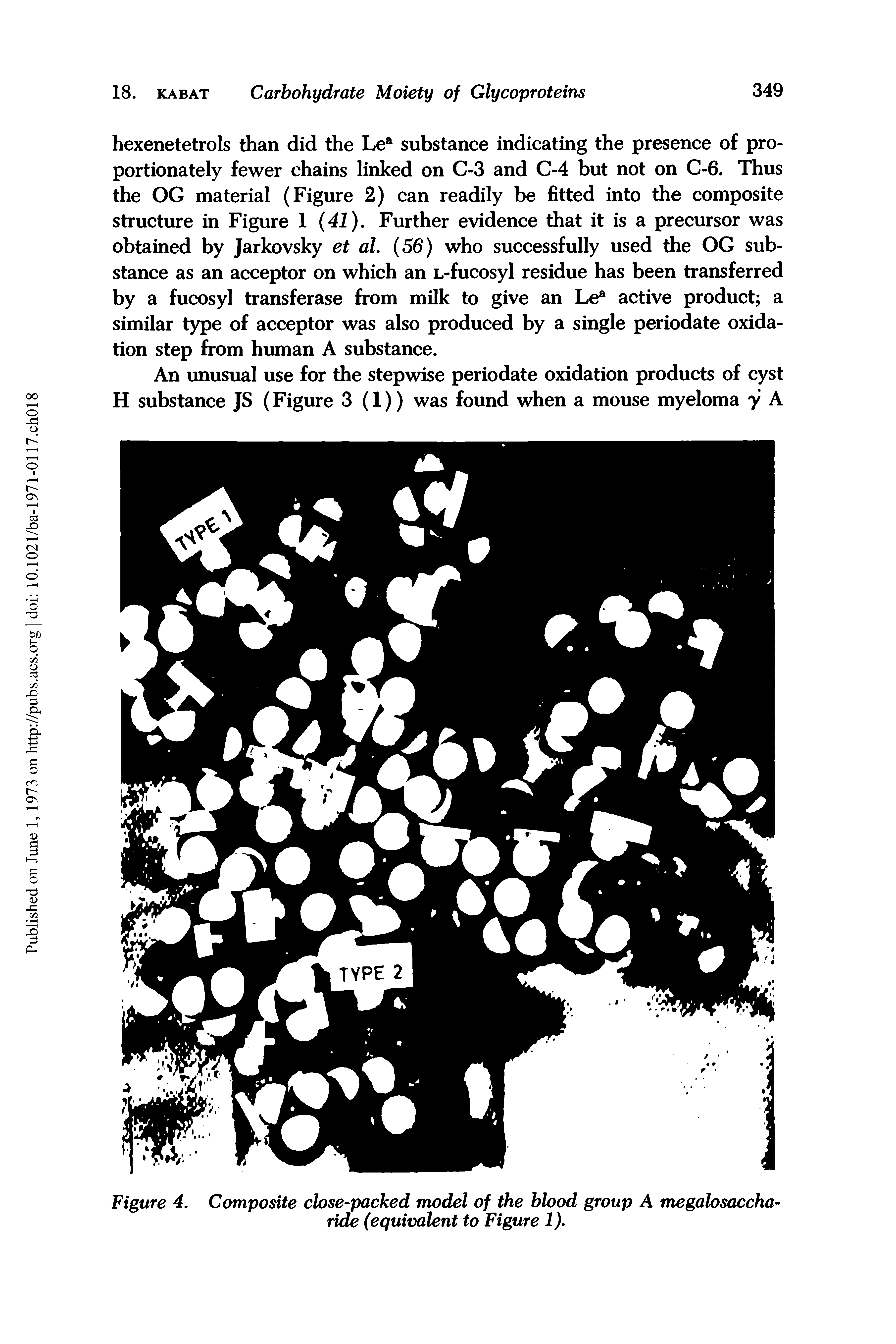 Figure 4. Composite close-packed model of the blood group A megalosaccha ride (equivalent to Figure 1).