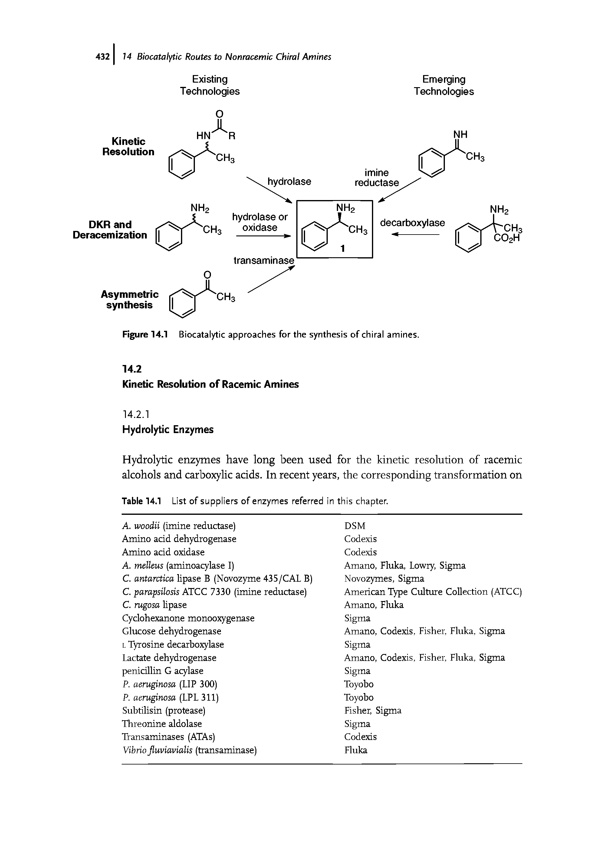 Figure 14.1 Biocatalytic approaches for the synthesis of chiral amines.