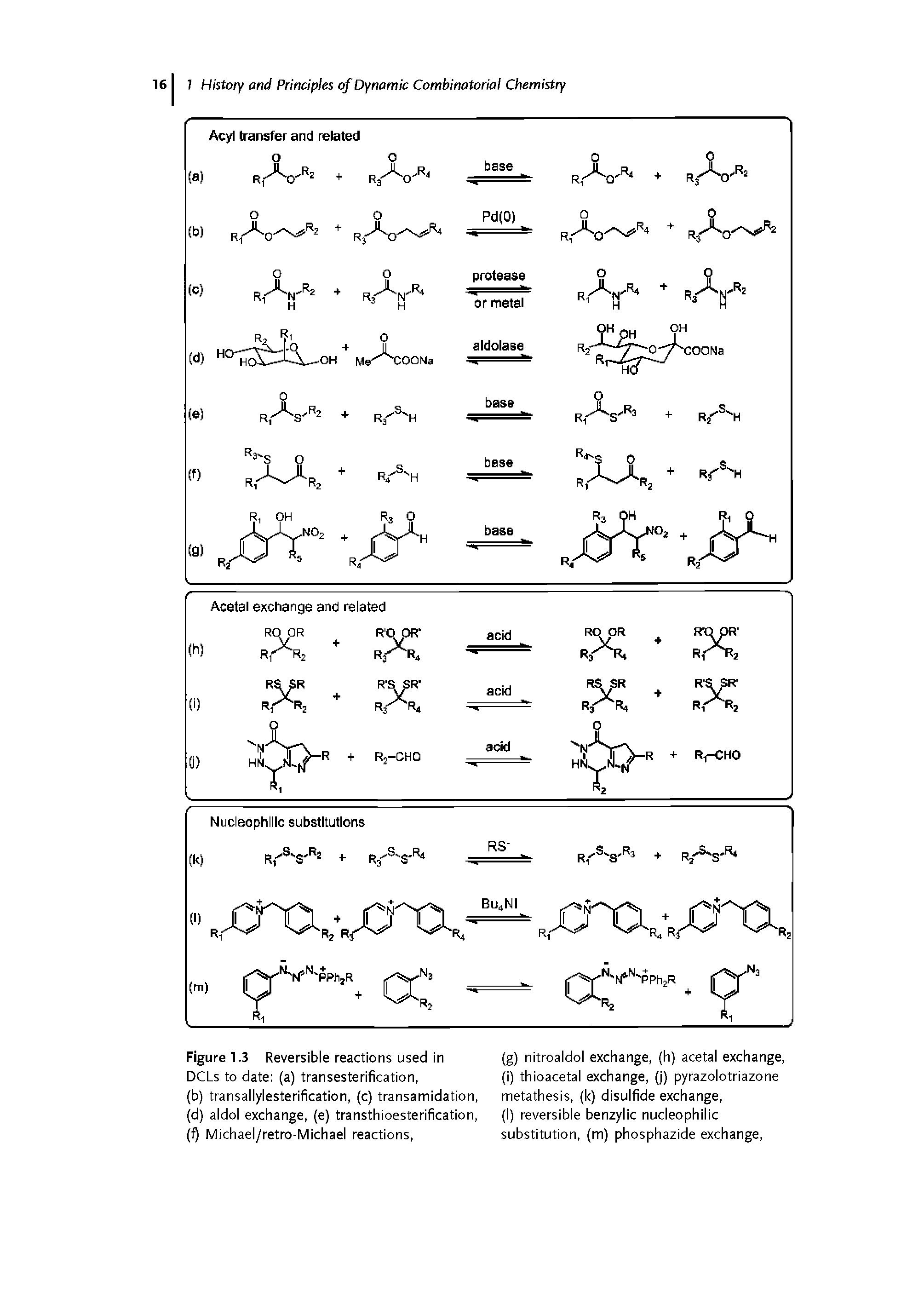 Figure 1.3 Reversible reactions used in (g) nitroaldol exchange, (h) acetal exchange,...