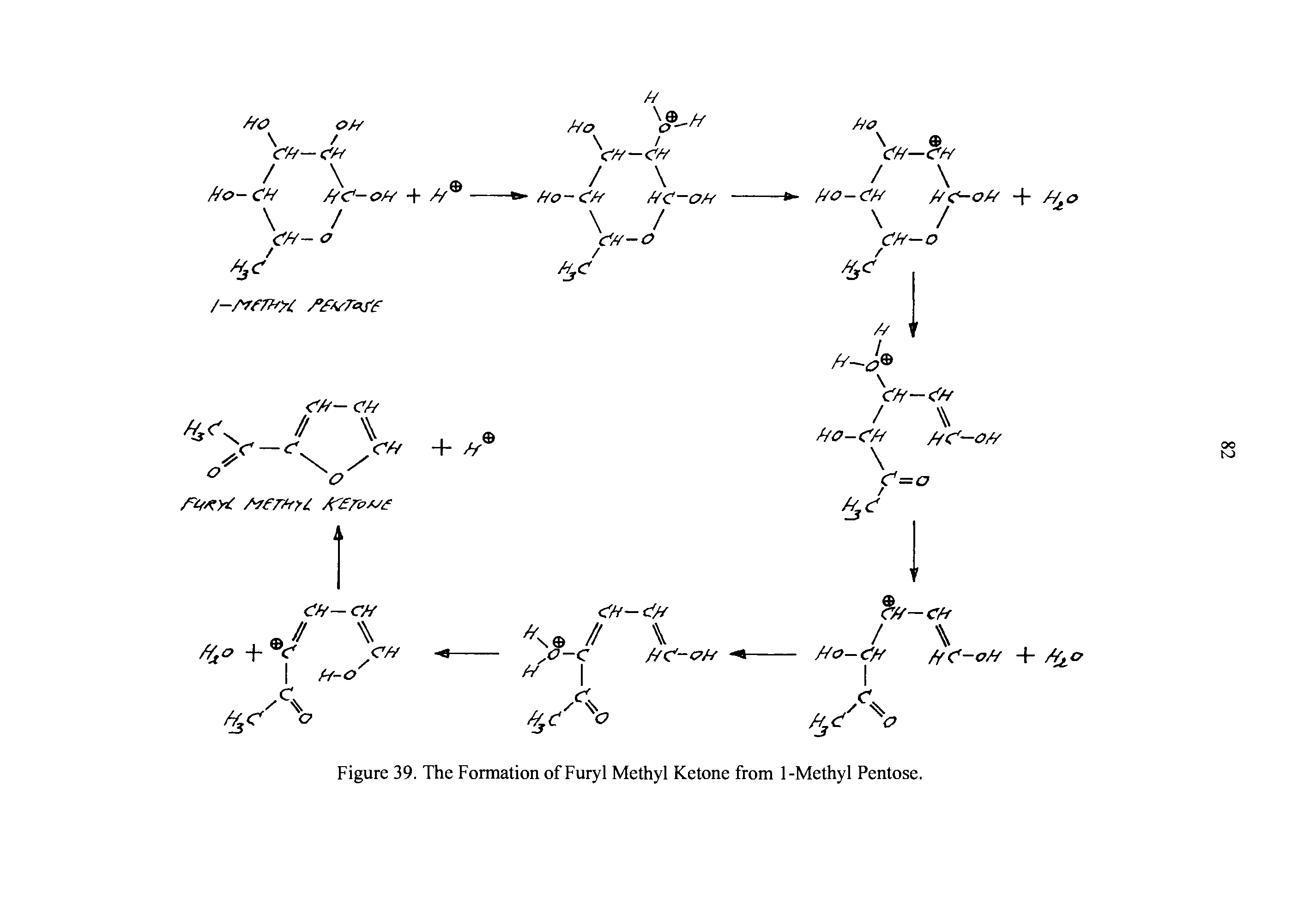Figure 39. The Formation of Furyl Methyl Ketone from 1-Methyl Pentose.