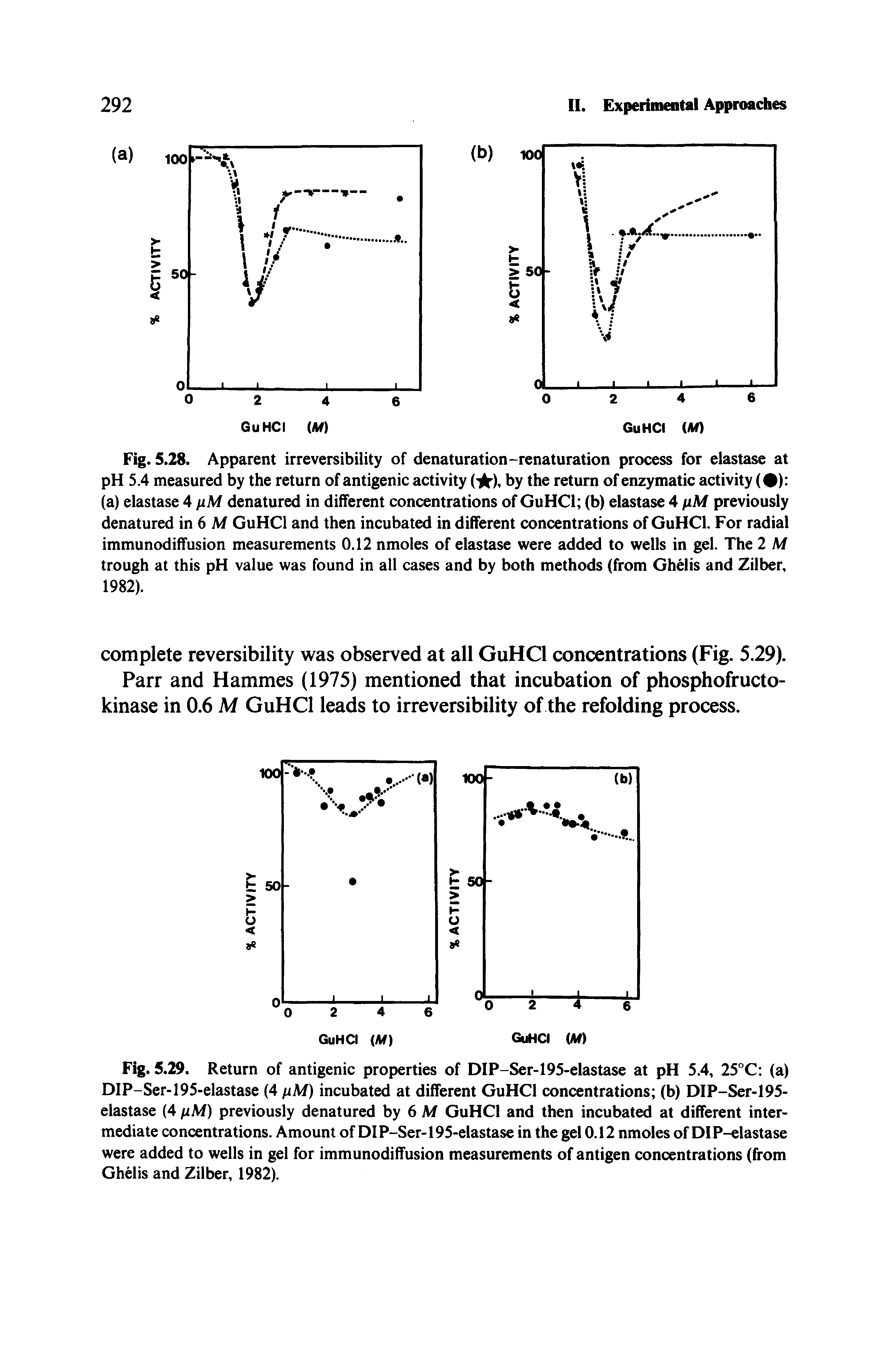 Fig. 5.28. Apparent irreversibility of denaturation-renaturation process for elastase at pH 5.4 measured by the return of antigenic activity ( ). by the return of enzymatic activity ( ) (a) elastase 4 fiM denatured in different concentrations of GuHCl (b) elastase 4 fiM previously denatured in 6 Af GuHCl and then incubated in different concentrations of GuHCl. For radial immunodiffusion measurements 0.12 nmoles of elastase were added to wells in gel. The 2 M trough at this pH value was found in all cases and by both methods (from Ghelis and Zilber. 1982).