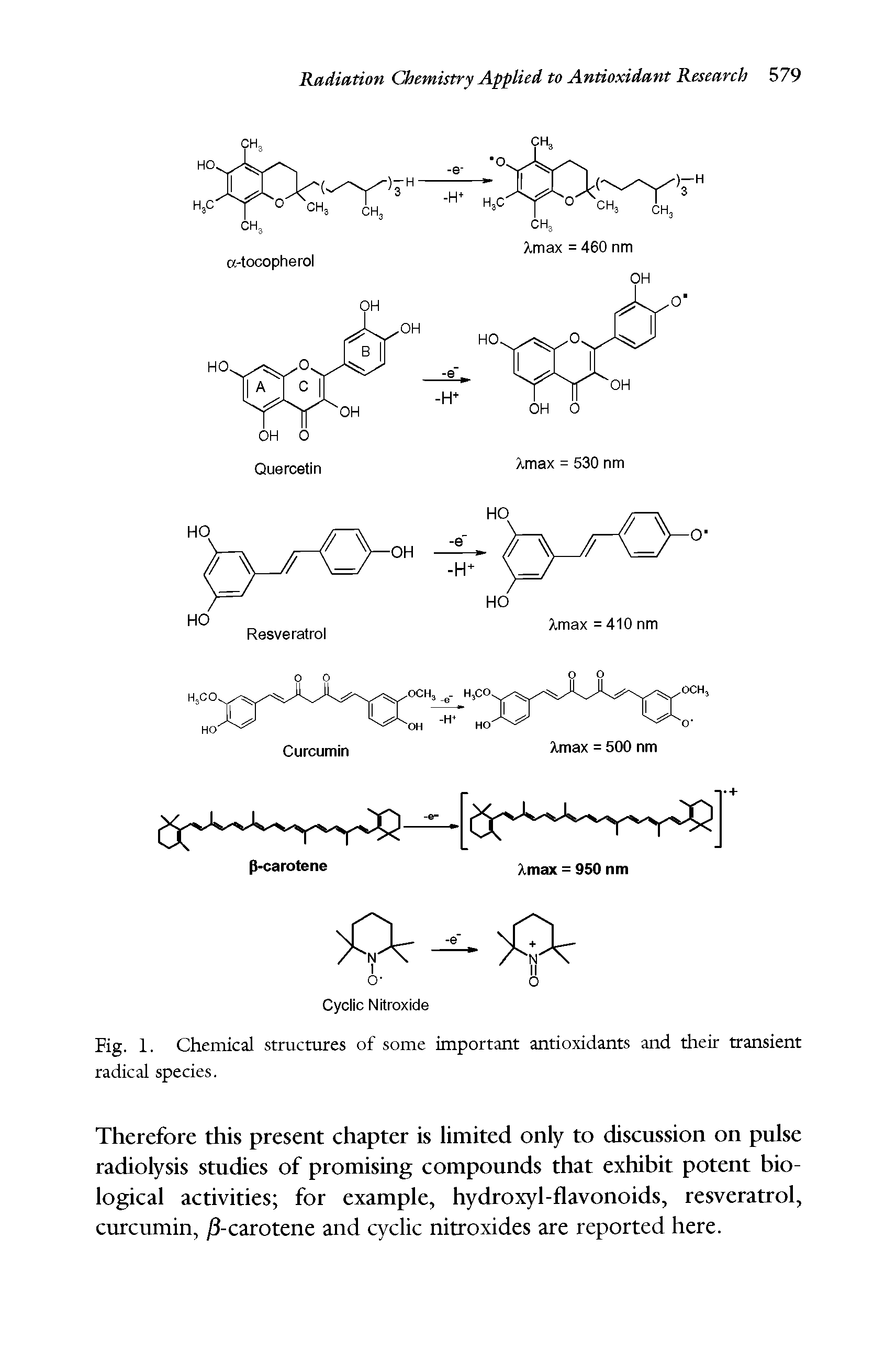 Fig. 1. Chemical structures of some important antioxidants and their transient radical species.