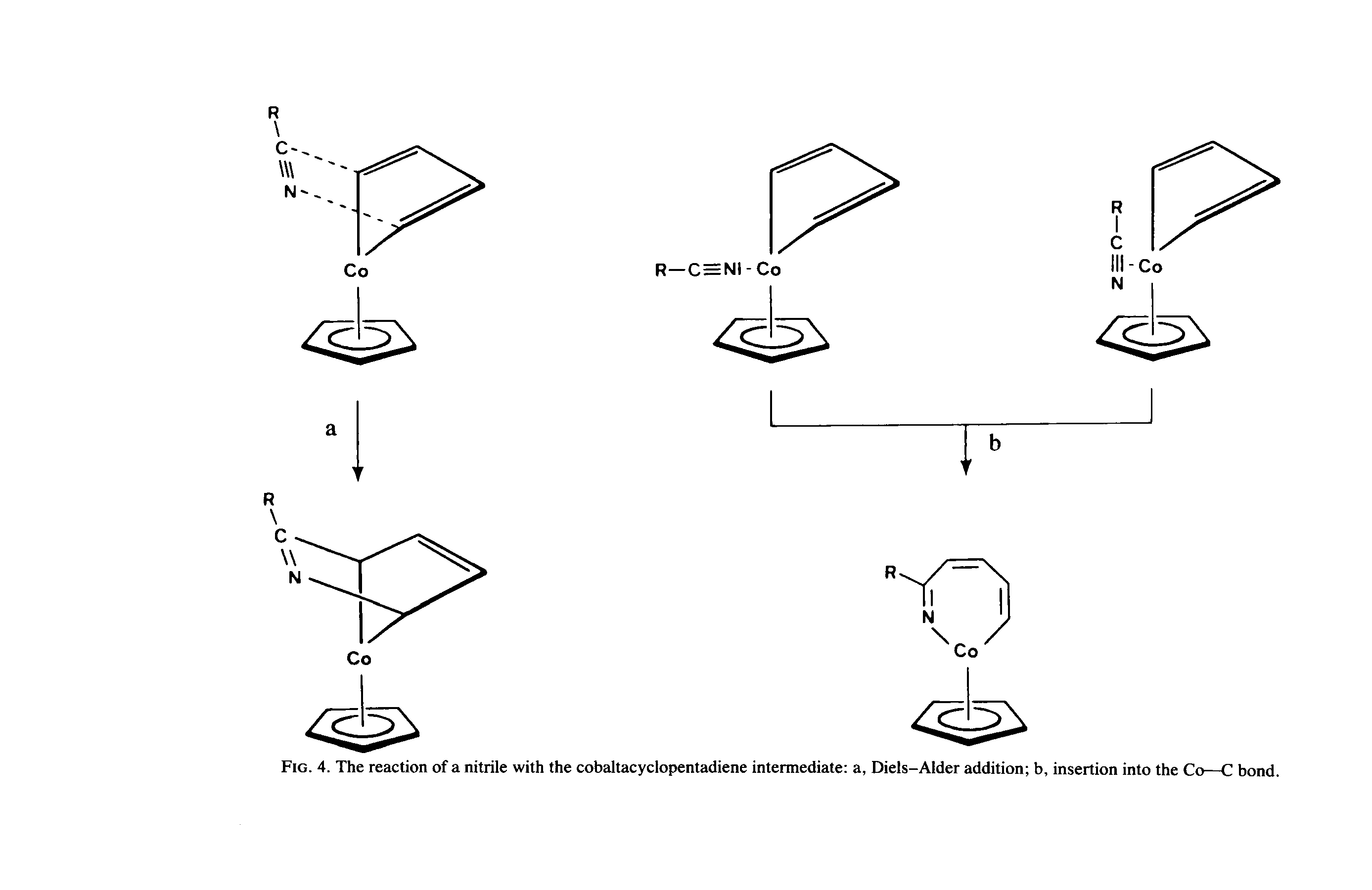 Fig. 4. The reaction of a nitrile with the cobaltacyclopentadiene intermediate a, Diels-Alder addition b, insertion into the Co—C bond.
