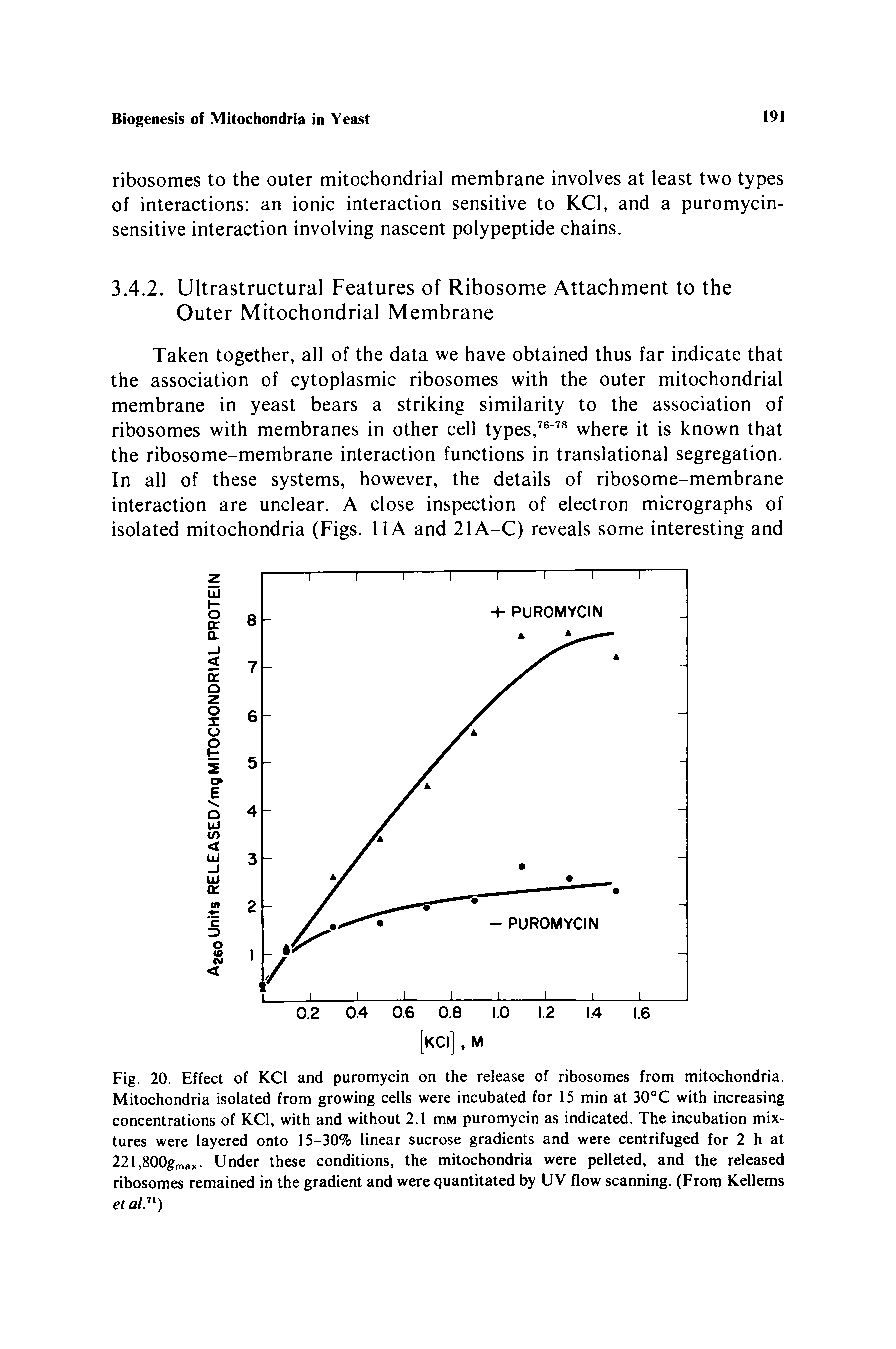 Fig. 20. Effect of KCl and puromycin on the release of ribosomes from mitochondria. Mitochondria isolated from growing cells were incubated for 15 min at 30°C with increasing concentrations of KCl, with and without 2.1 mM puromycin as indicated. The incubation mixtures were layered onto 15-30% linear sucrose gradients and were centrifuged for 2 h at 221,800gniax- Under these conditions, the mitochondria were pelleted, and the released ribosomes remained in the gradient and were quantitated by UV flow scanning. (From Kellems et al )...