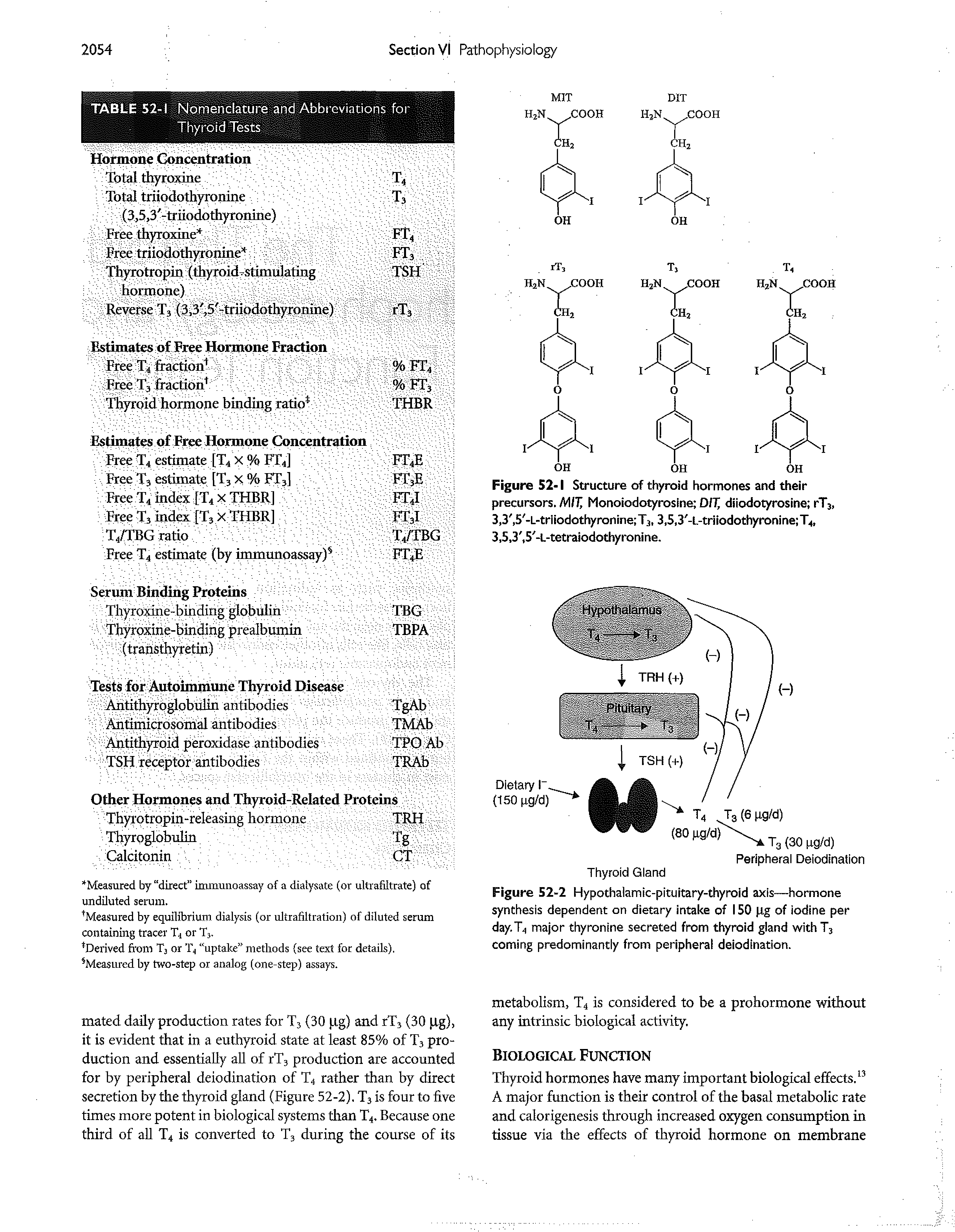 Figure 52-2 Hypothalamic-pituitary-thyroid axis—hormone synthesis dependent on dietary intake of ISO pg of iodine per day.T4 major thyronine secreted from thyroid gland with T3 coming predominantly from peripheral deiodination.