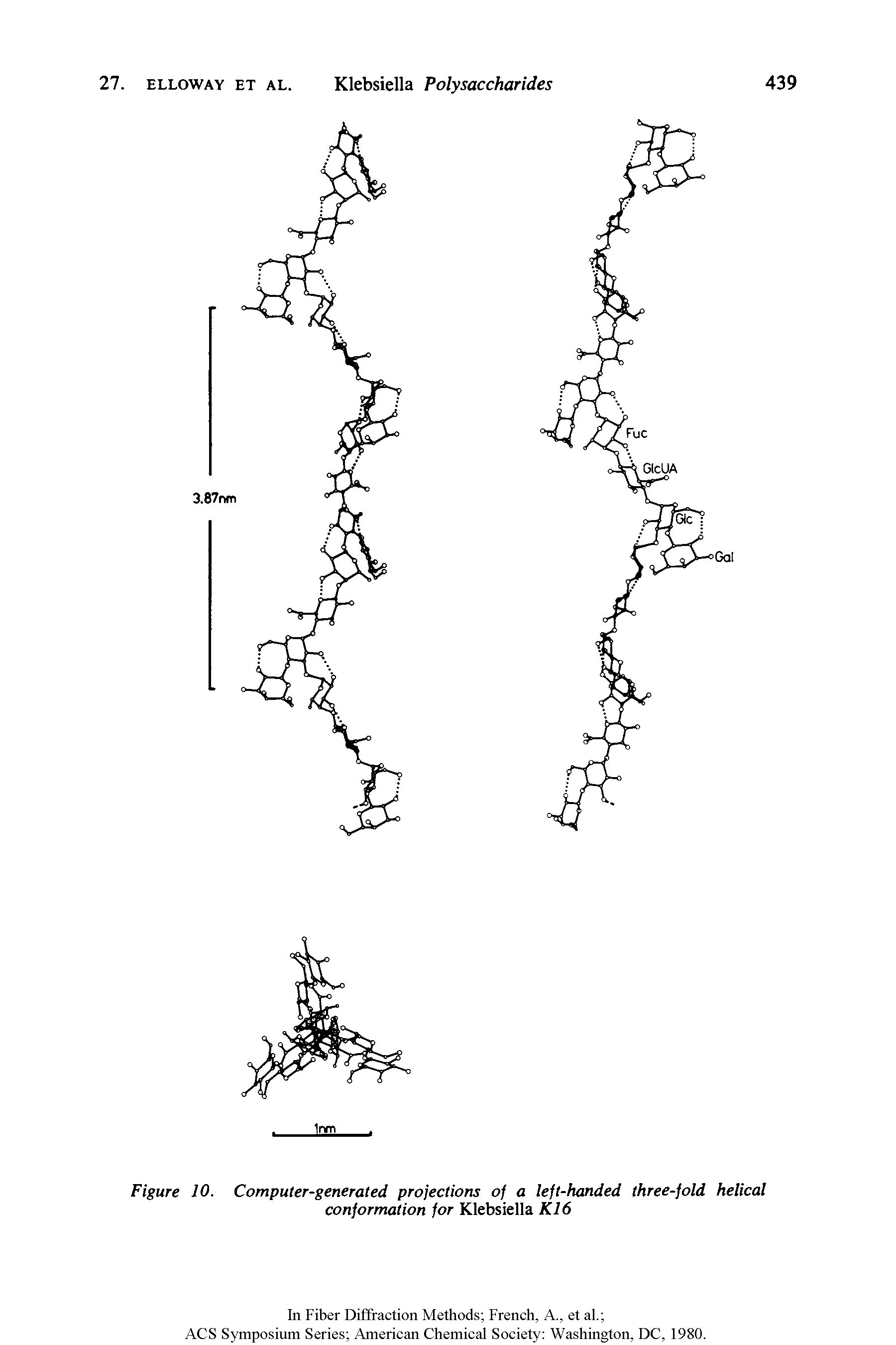 Figure 10. Computer-generated projections of a left-handed three-fold helical conformation for Klebsiella K16...