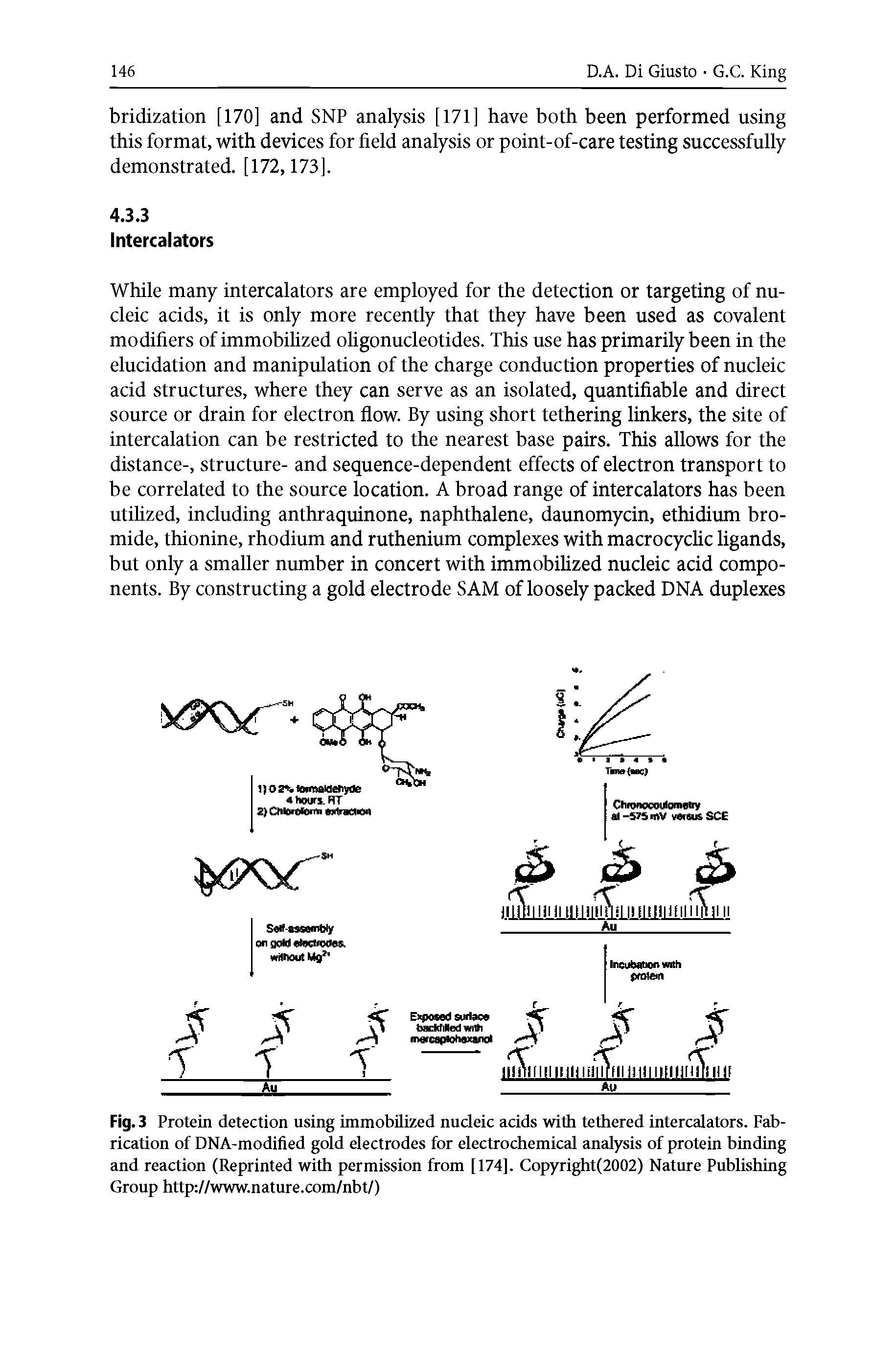 Fig. 3 Protein detection using immobilized nucleic acids with tethered intercalators. Fabrication of DNA-modified gold electrodes for electrochemical analysis of protein binding and reaction (Reprinted with permission from [174], Copyright(2002) Nature Publishing Group http //www.nature.com/nbt/)...