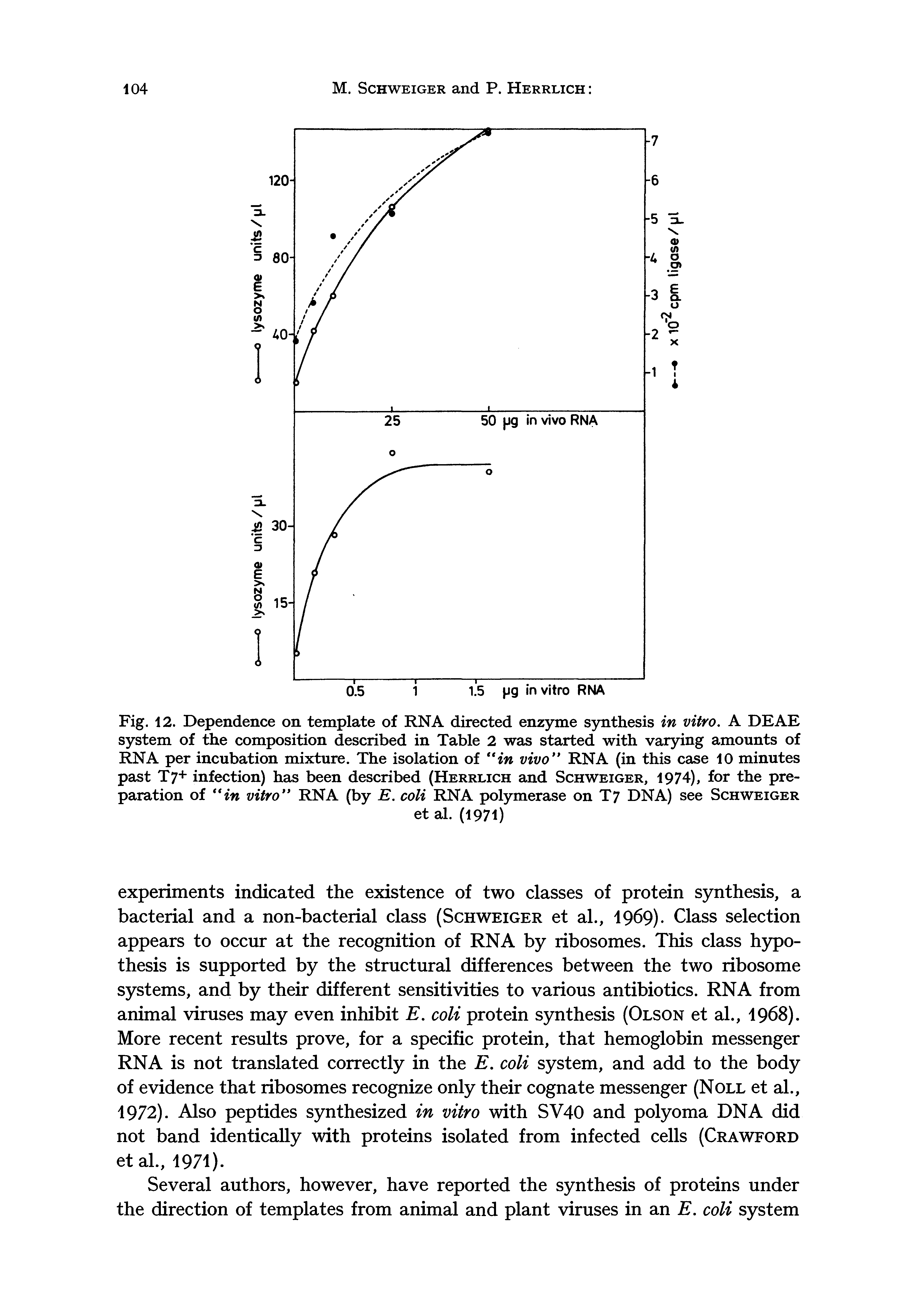 Fig. 12. Dependence on template of RNA directed enzyme synthesis in vitro, A DEAE system of the composition described in Table 2 was started with varying amounts of RNA per incubation mixture. The isolation of in vivo RNA (in this case 10 minutes past T7+ infection) has been described (Herrlich and Schweiger, 1974), for the preparation of in vitro RNA (by E. coli RNA polymerase on T7 DNA) see Schweiger...