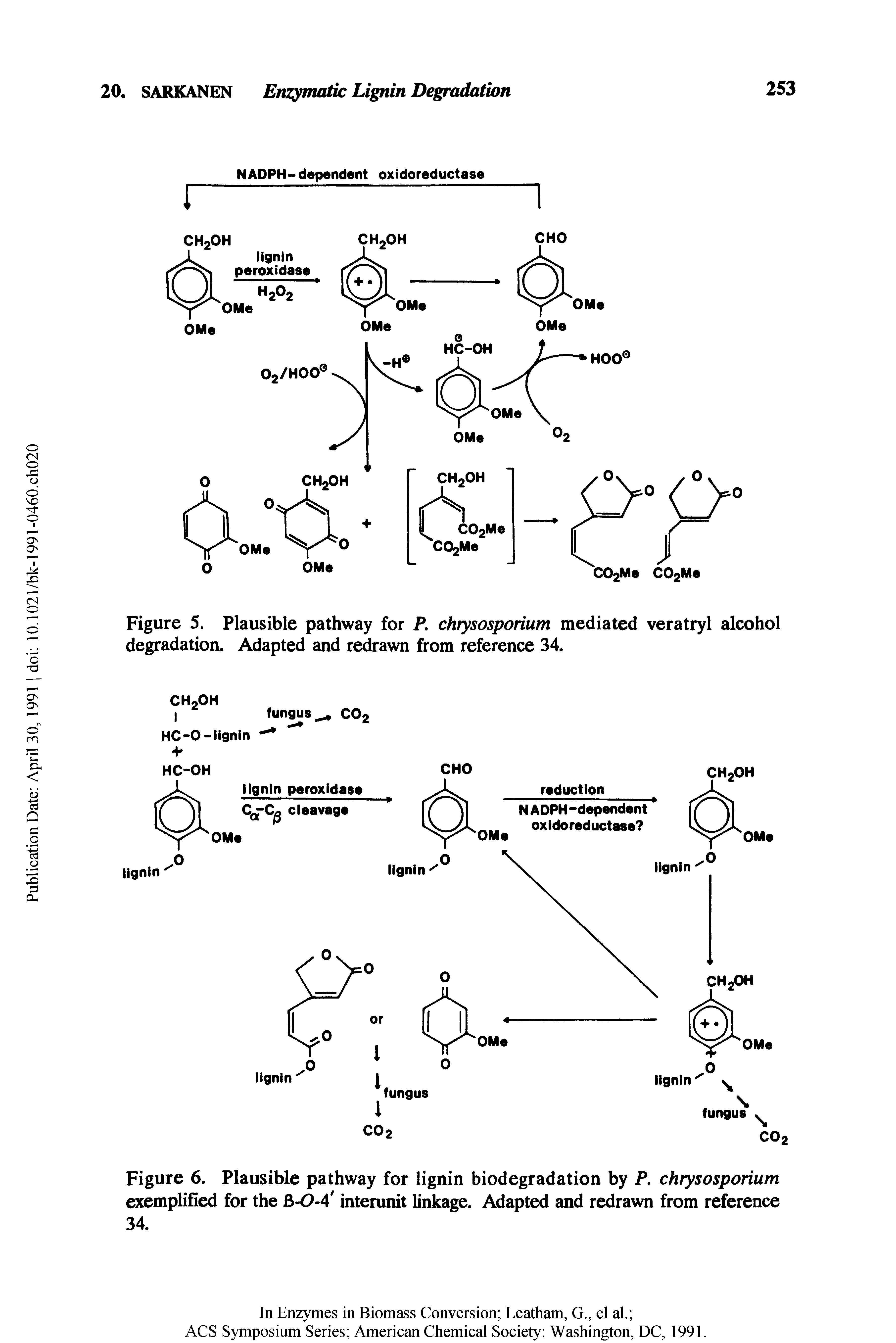 Figure 5. Plausible pathway for P, chrysosporium mediated veratryl alcohol degradation. Adapted and redrawn from reference 34.