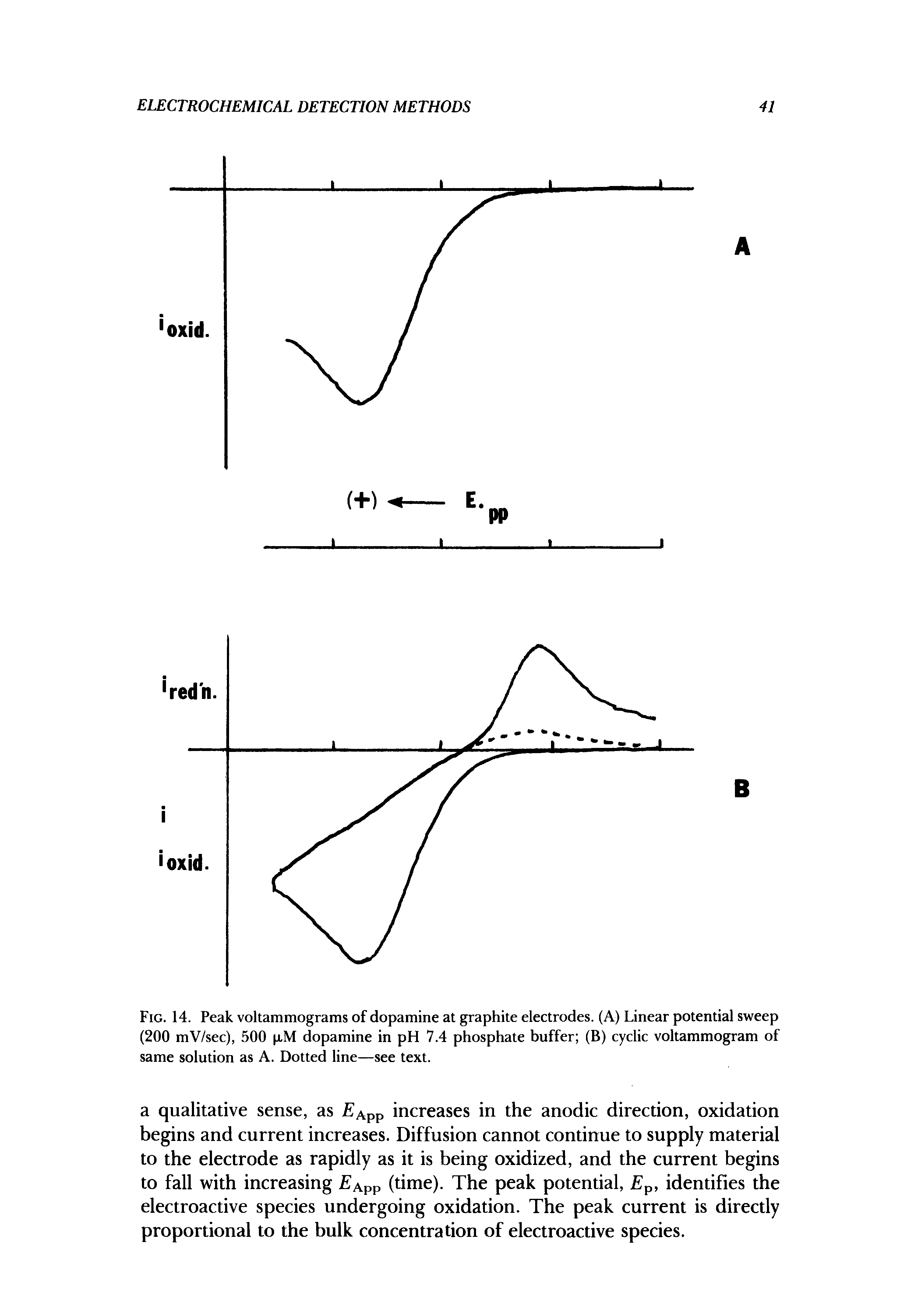 Fig. 14. Peak voltammograms of dopamine at graphite electrodes. (A) Linear potential sweep (200 mV/sec), 500 pM dopamine in pH 7.4 phosphate buffer (B) cyclic voltammogram of same solution as A. Dotted line—see text.