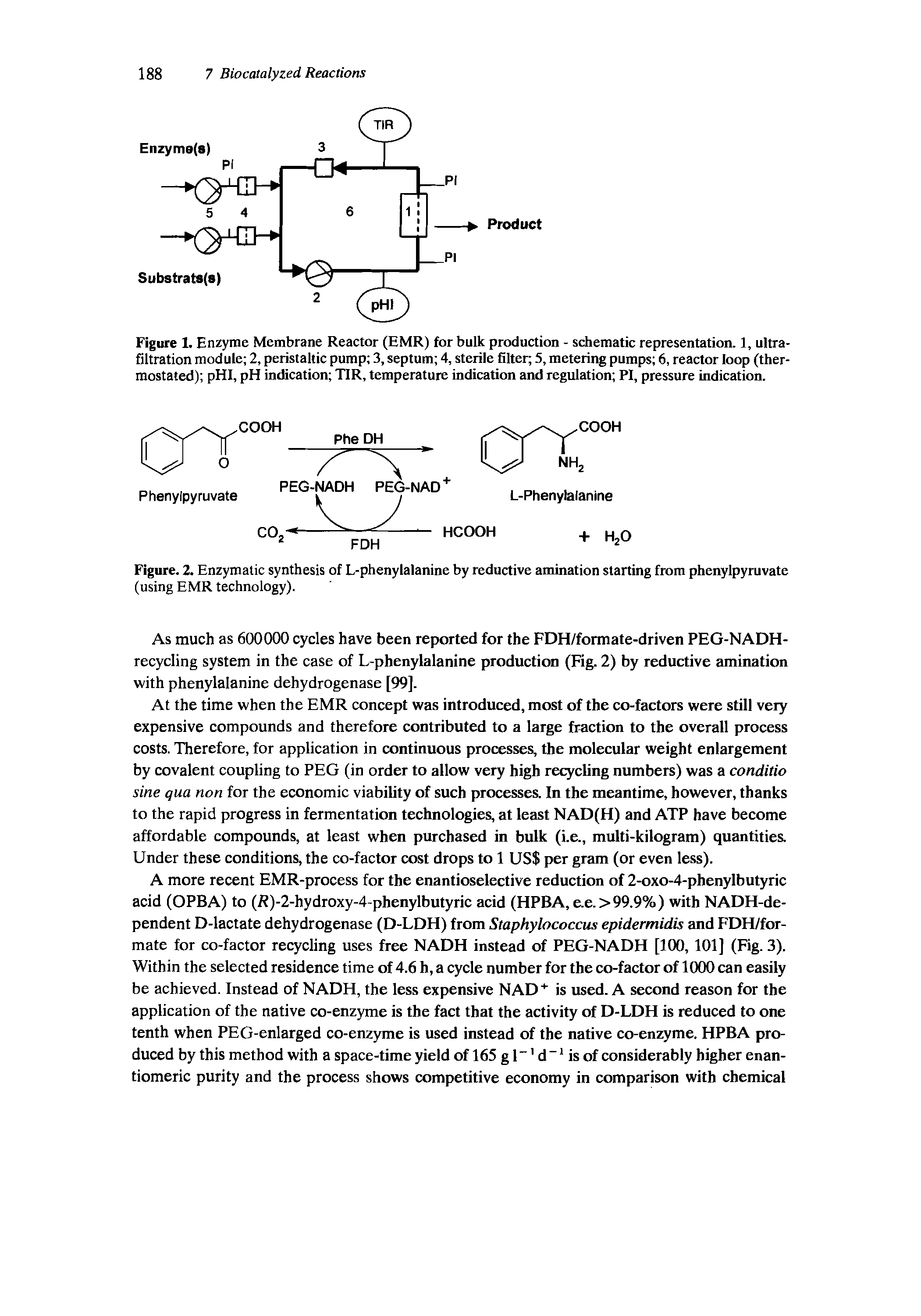 Figure. 2. Enzymatic synthesis of L-phenylalanine by reductive amination starting from phenylpyruvate (using EMR technology).