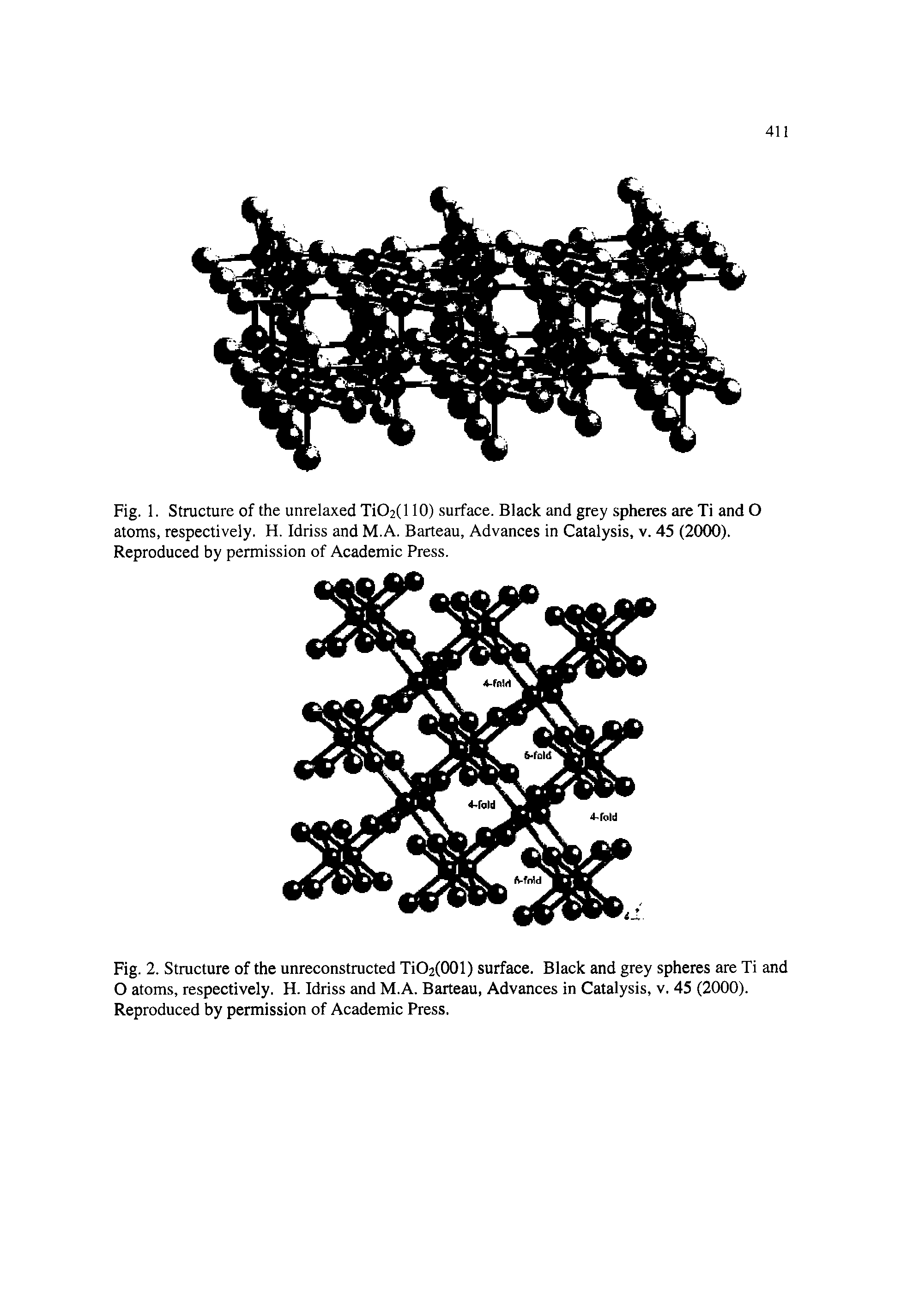 Fig. 2. Structure of the unreconstructed TiO2(001) surface. Black and grey spheres are Ti and O atoms, respectively. H. Idriss and M.A. Barteau, Advances in Catalysis, v. 45 (2000). Reproduced by permission of Academic Press.