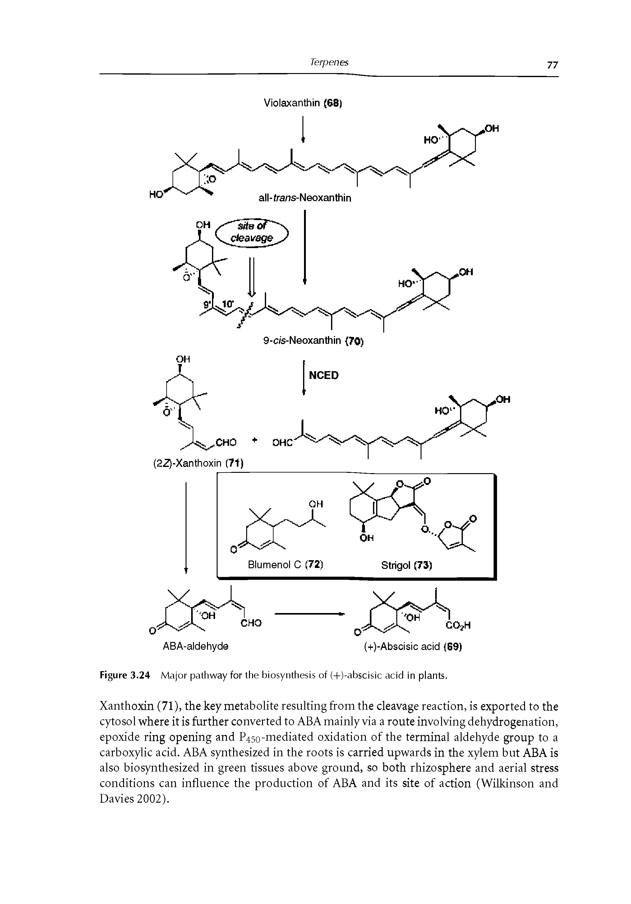 Figure 3.24 Major pathway for the biosynthesis of (+)-abscisic acid in plants.
