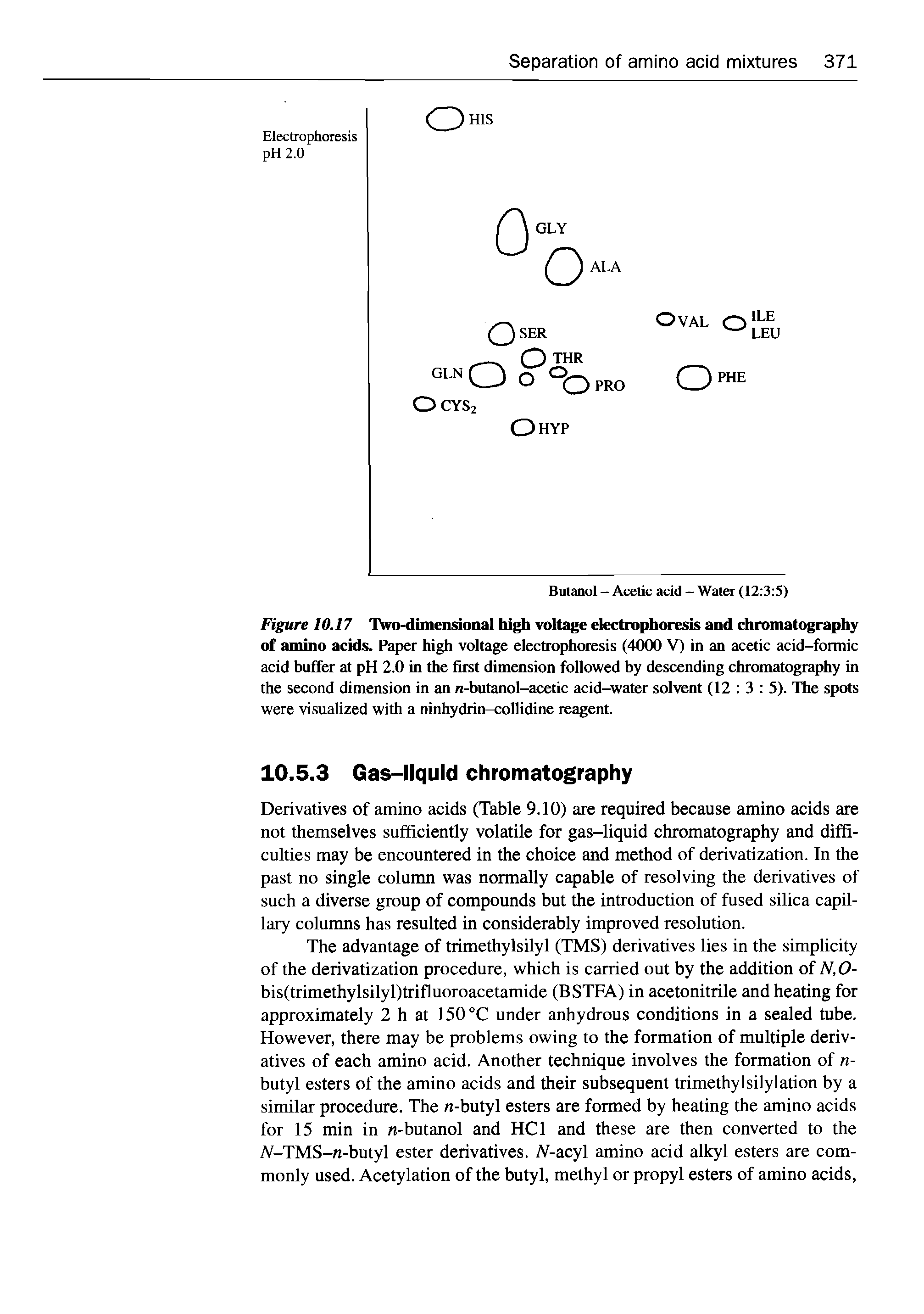 Figure 10.17 Two-dimensional high voltage electrophoresis and chromatography of amino acids. Paper high voltage electrophoresis (4000 V) in an acetic acid-formic acid buffer at pH 2.0 in the first dimension followed by descending chromatography in the second dimension in an n-butanol-acetic acid-water solvent (12 3 5). The spots were visualized with a ninhydrin-collidine reagent.