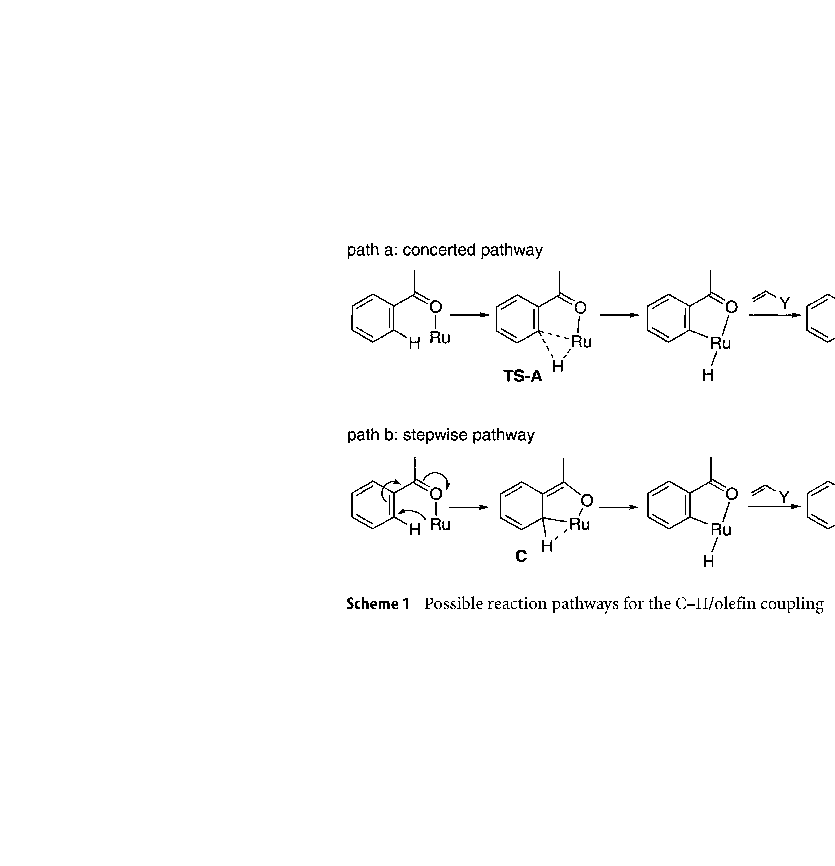 Scheme 1 Possible reaction pathways for the C-H/olefin coupling...