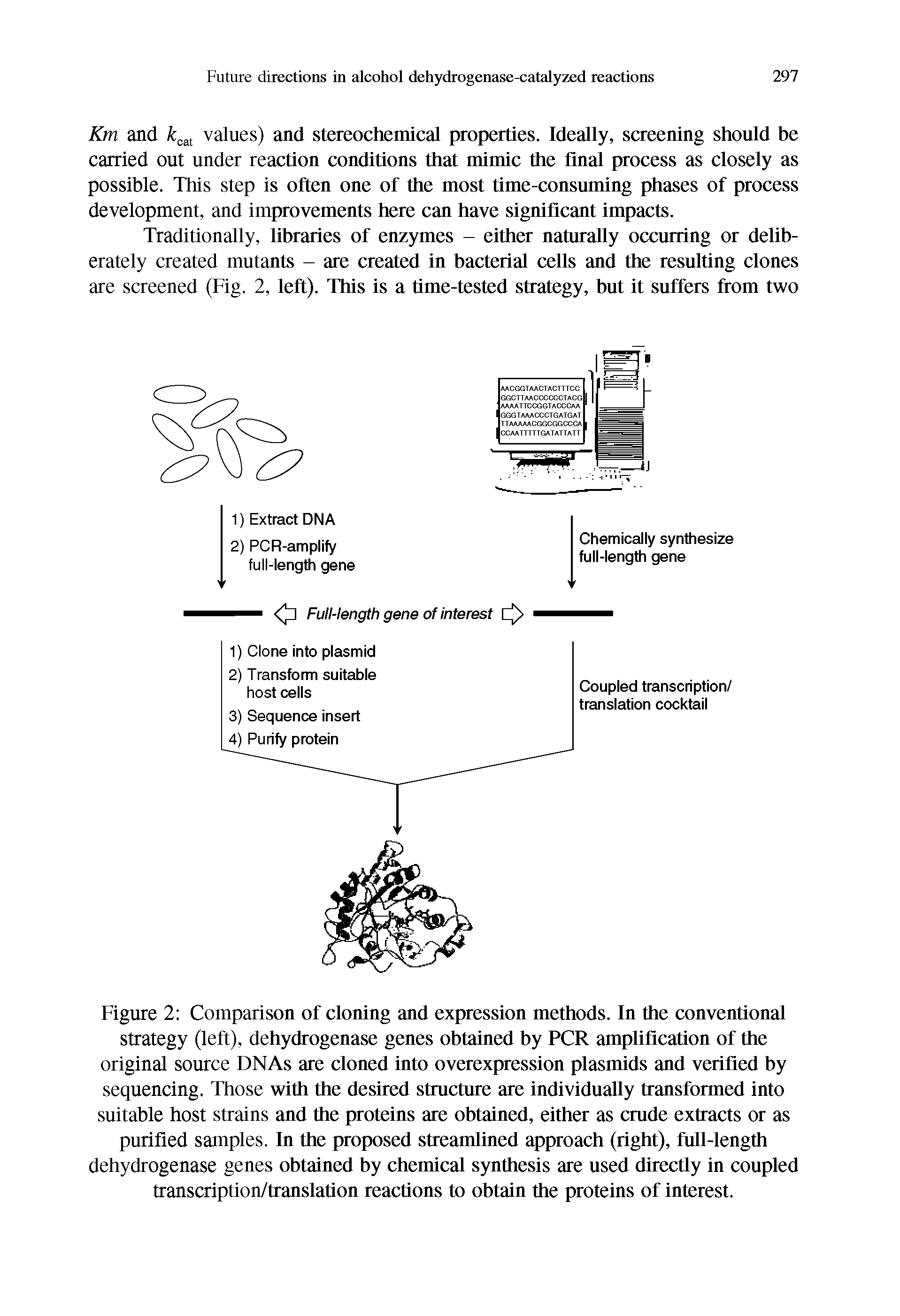 Figure 2 Comparison of cloning and expression methods. In the conventional strategy (left), dehydrogenase genes obtained by PCR amplification of the original source DNAs are cloned into overexpression plasmids and verified by sequencing. Those with the desired structure are individually transformed into suitable host strains and the proteins are obtained, either as crude extracts or as purified samples. In the proposed streamlined approach (right), full-length dehydrogenase genes obtained by chemical synthesis are used directly in coupled transcription/translation reactions to obtain the proteins of interest.