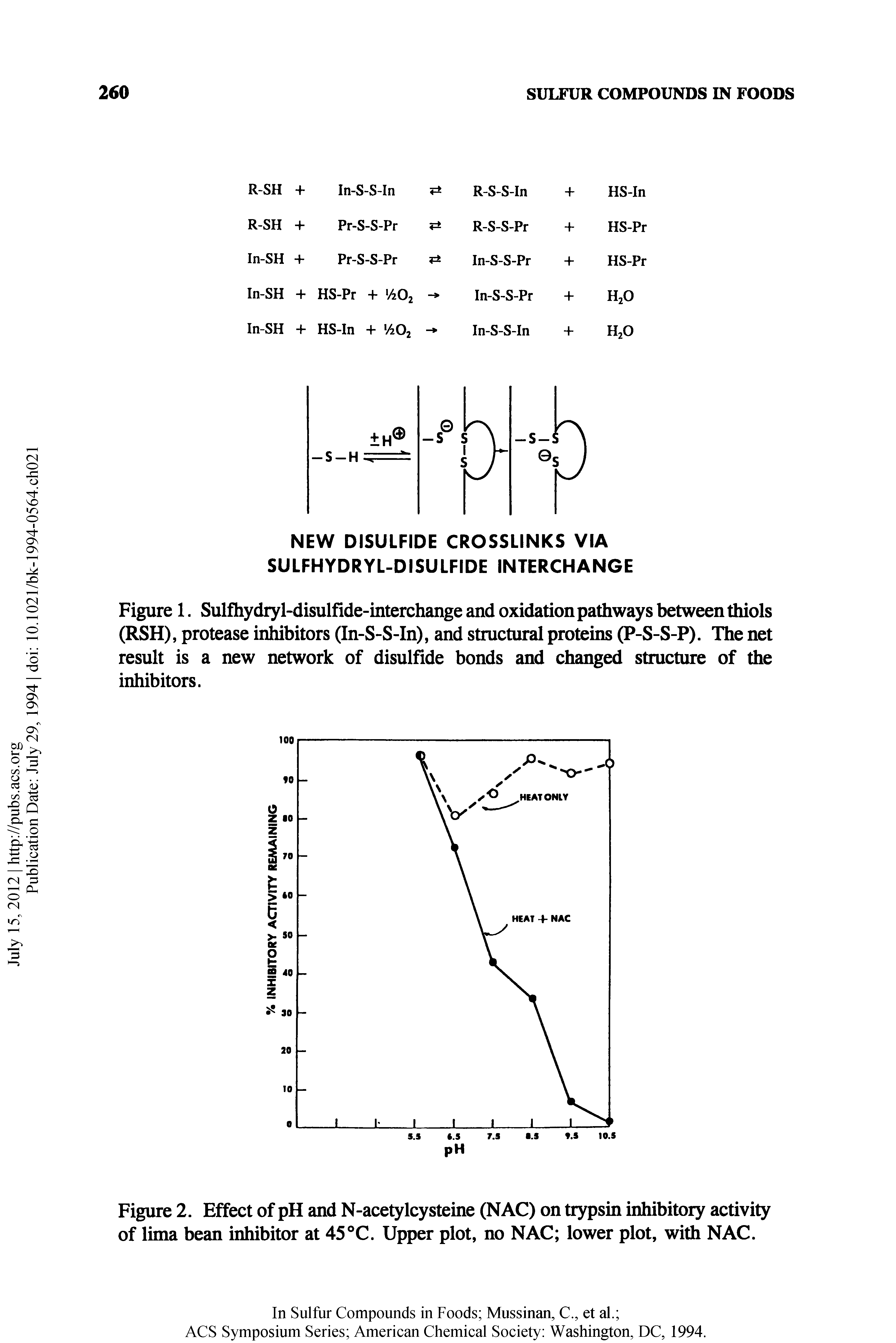 Figure 2. Effect of pH and N-acetylcysteine (NAC) on trypsin inhibitory activity of lima bean inhibitor at 45 C. Upper plot, no NAC lower plot, with NAC.