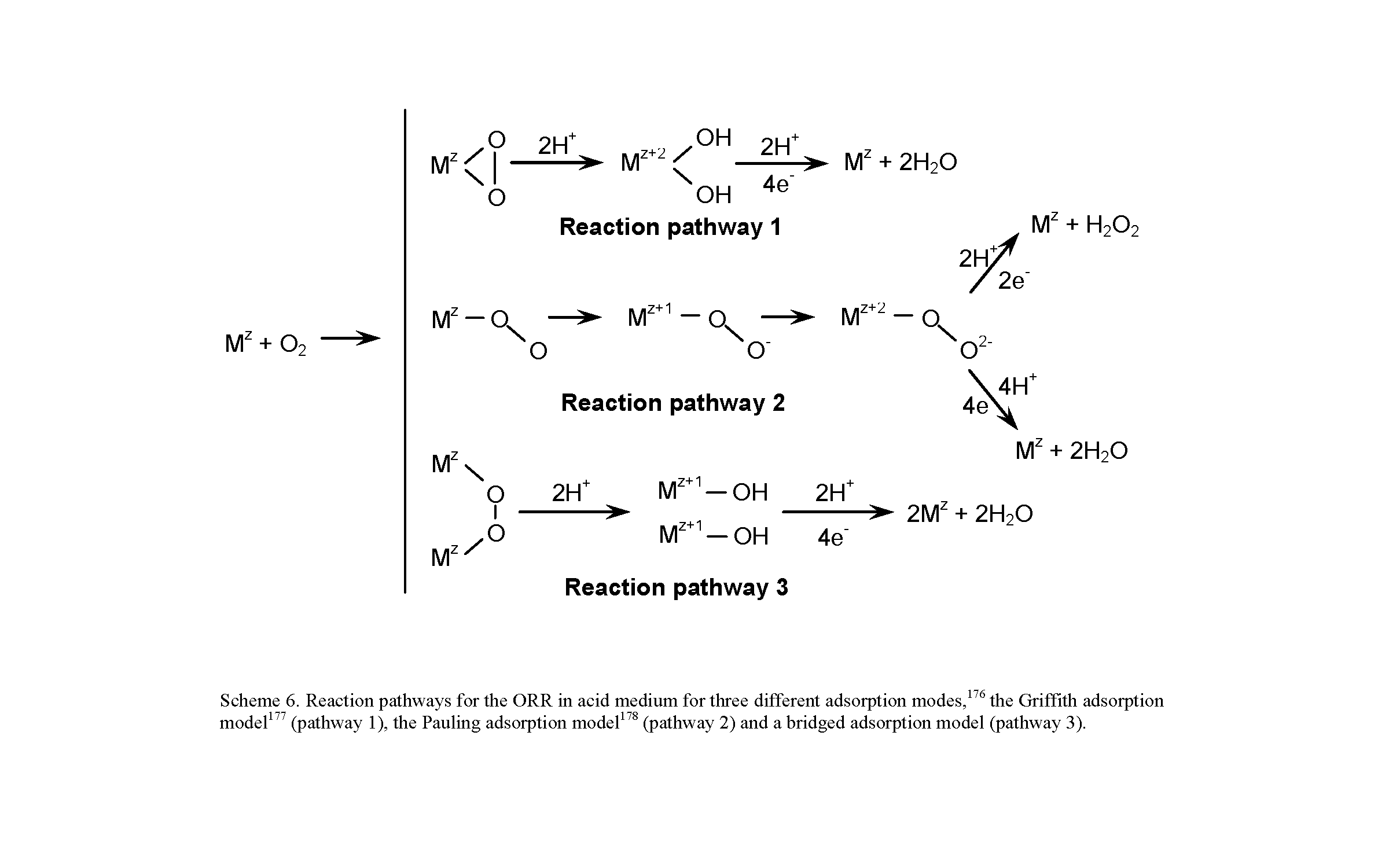 Scheme 6. Reaction pathways for the ORR in acid medium for three different adsorption modes, the Griffith adsorption model (pathway 1), the Pauling adsorption model (pathway 2) and a bridged adsorption model (pathway 3).