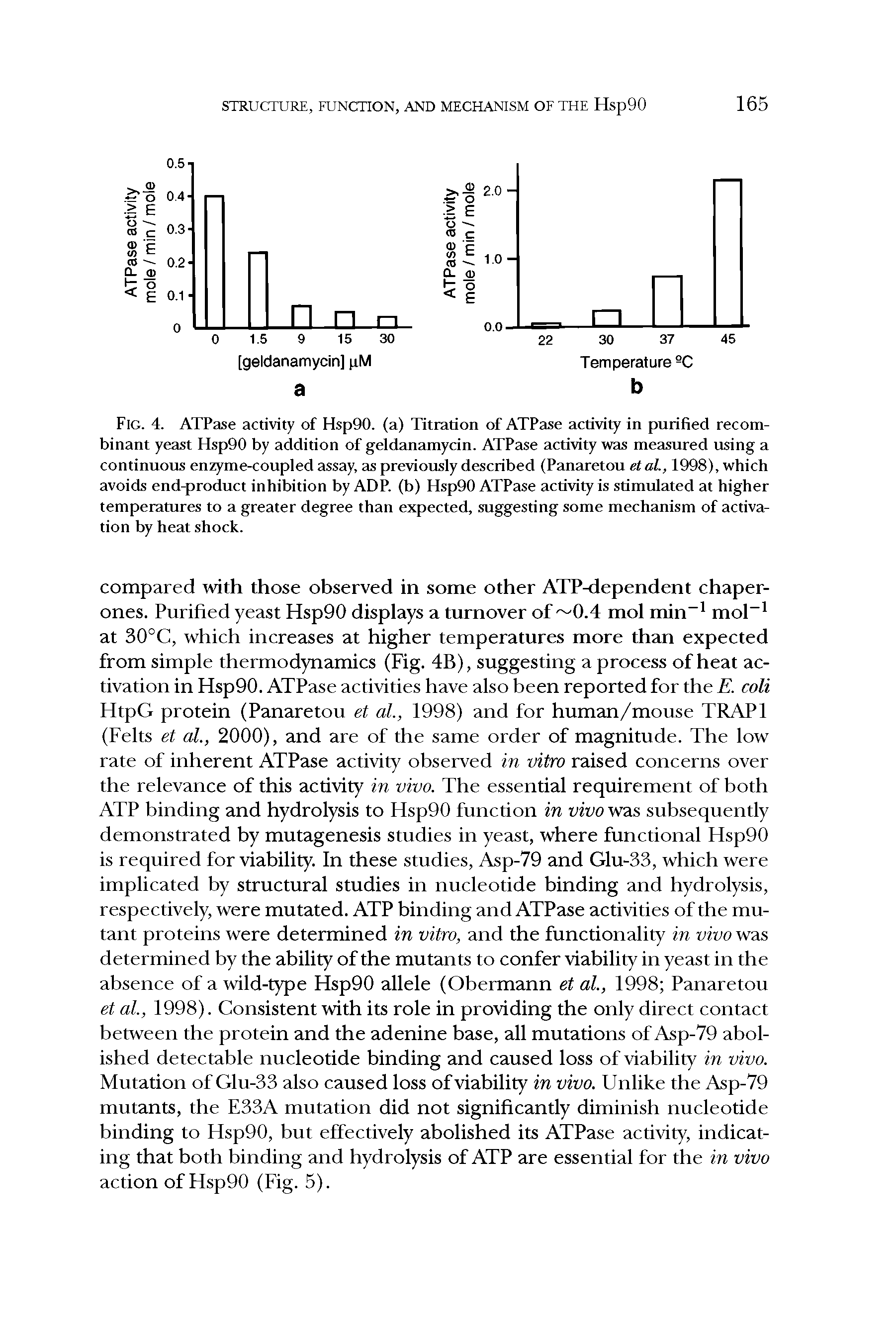 Fig. 4. ATPase activity of Hsp90. (a) Titration of ATPase activity in purified recombinant yeast ffsp90 by addition of geldanamycin. ATPase activity was measured using a continuous enzyme-coupled assay, as previously described (Panaretou et al, 1998), which avoids end-product inhibition by ADP. (b) Hsp90 ATPase activity is stimulated at higher temperatures to a greater degree than expected, suggesting some mechanism of activation by heat shock.