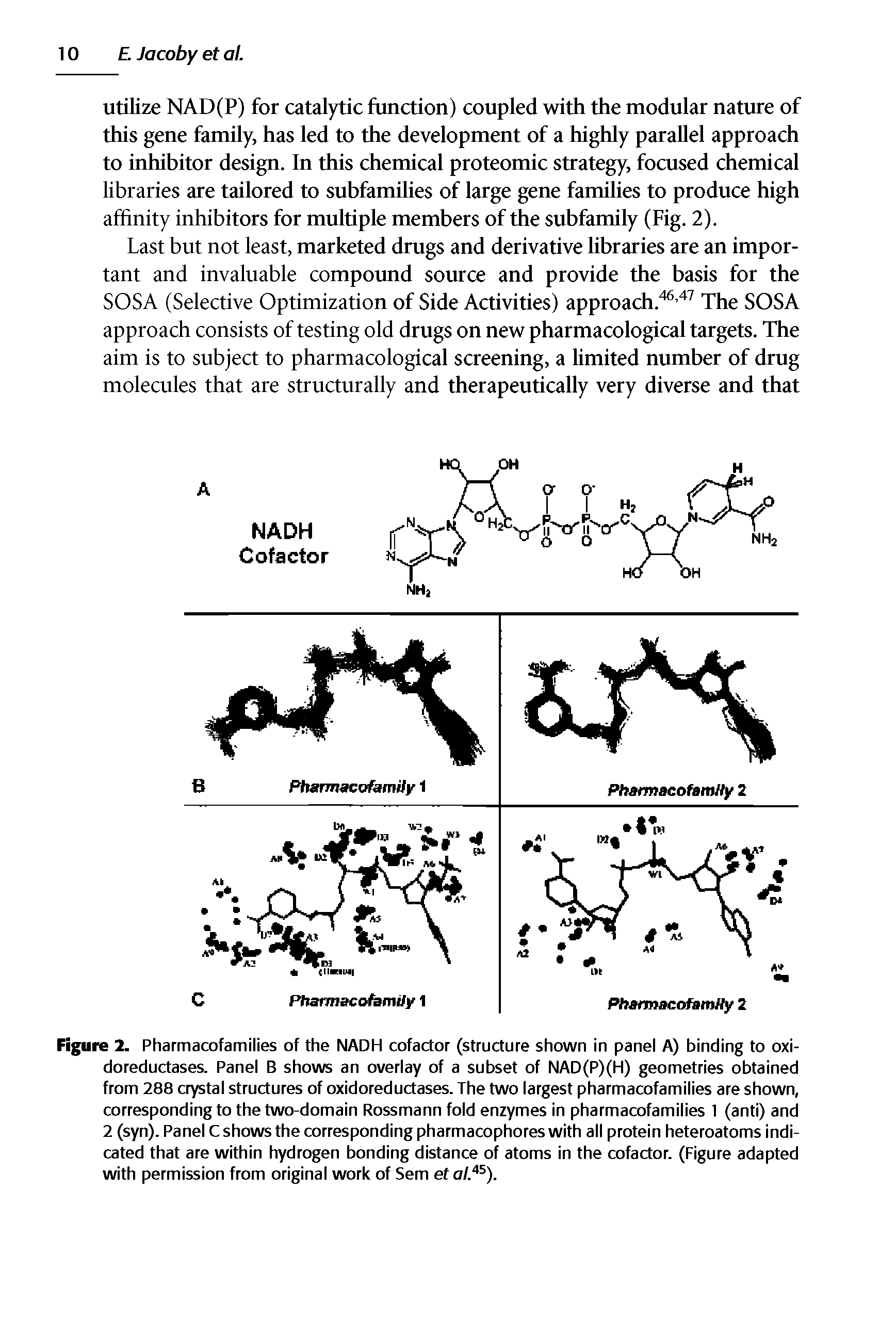 Figure 2. Pharmacofamilies of the NADH cofactor (structure shown in panel A) binding to oxi-doreductases. Panel B shows an overlay of a subset of NAD(P)(H) geometries obtained from 288 crystal structures of oxidoreductases. The two largest pharmacofamilies are shown, corresponding to the two-domain Rossmann fold enzymes in pharmacofamilies 1 (anti) and 2 (syn). Panel C shows the corresponding pharmacophores with all protein heteroatoms indicated that are within hydrogen bonding distance of atoms in the cofactor. (Figure adapted with permission from original work of Sem ef o/. ).