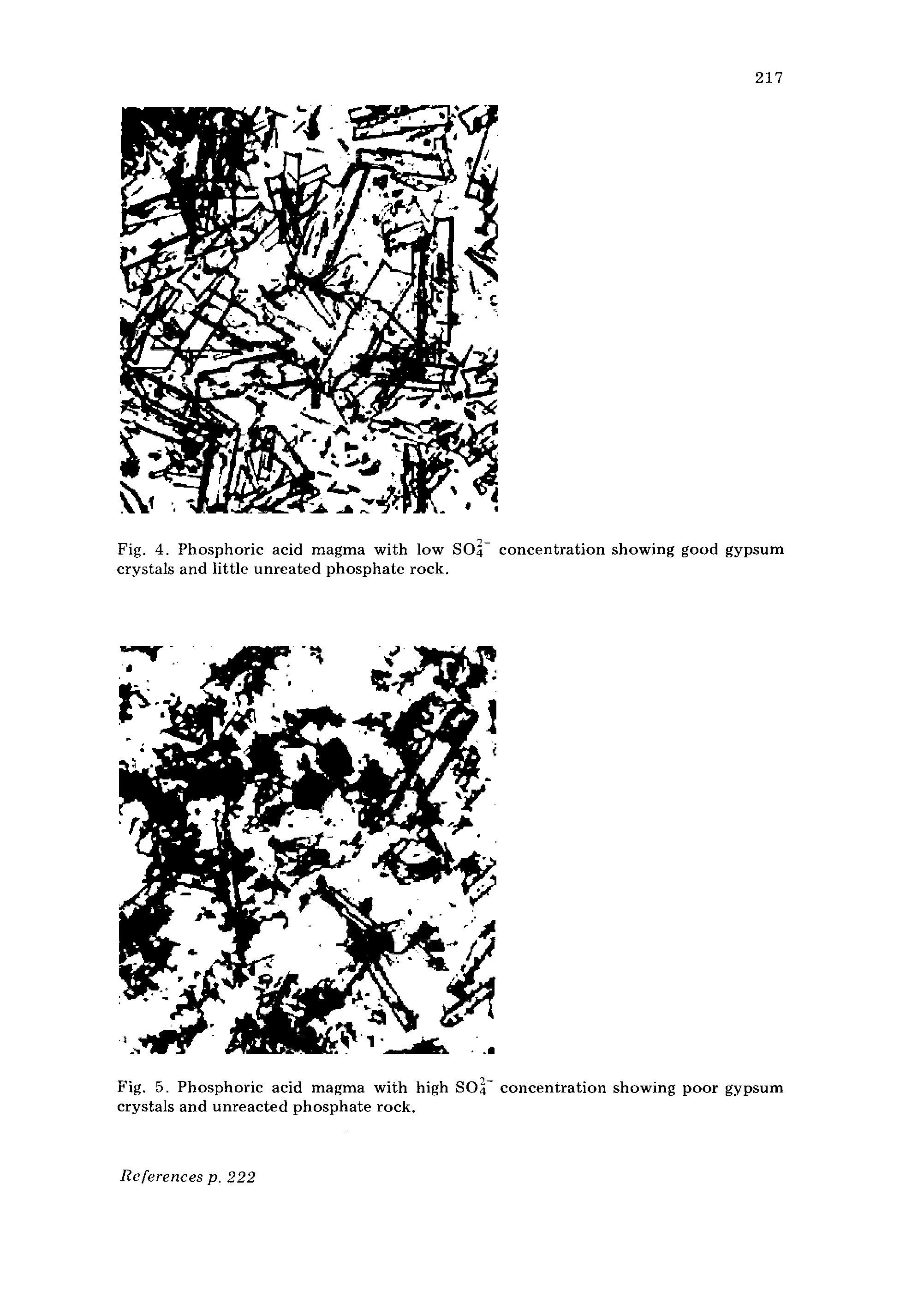 Fig. 5. Phosphoric acid magma with high SO4 concentration showing poor gypsum crystals and unreacted phosphate rock.