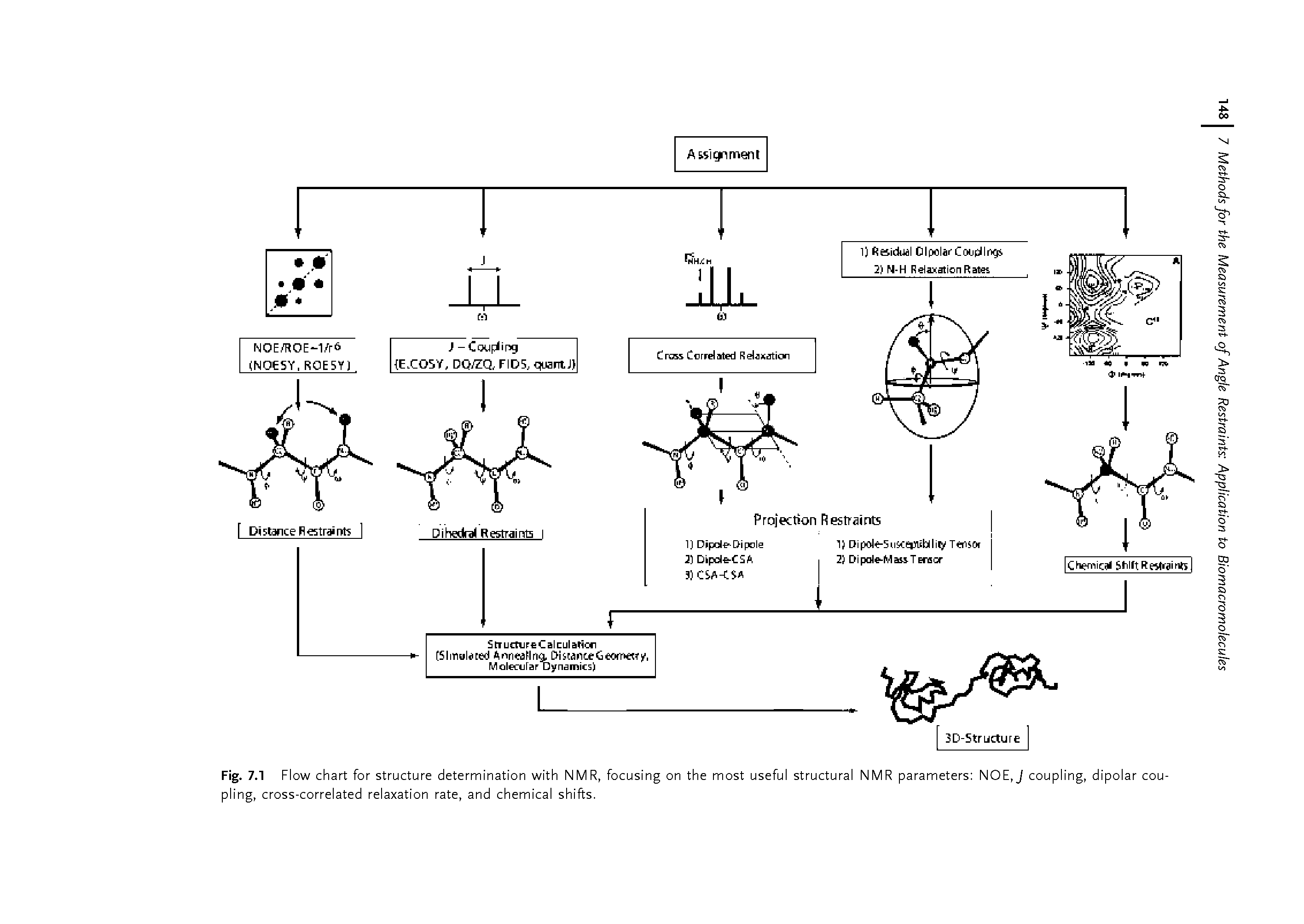 Fig. 7.1 Flow chart for structure determination with NMR, focusing on the most useful structural NMR parameters NOE,J coupling, dipolar coupling, cross-correlated relaxation rate, and chemical shifts.