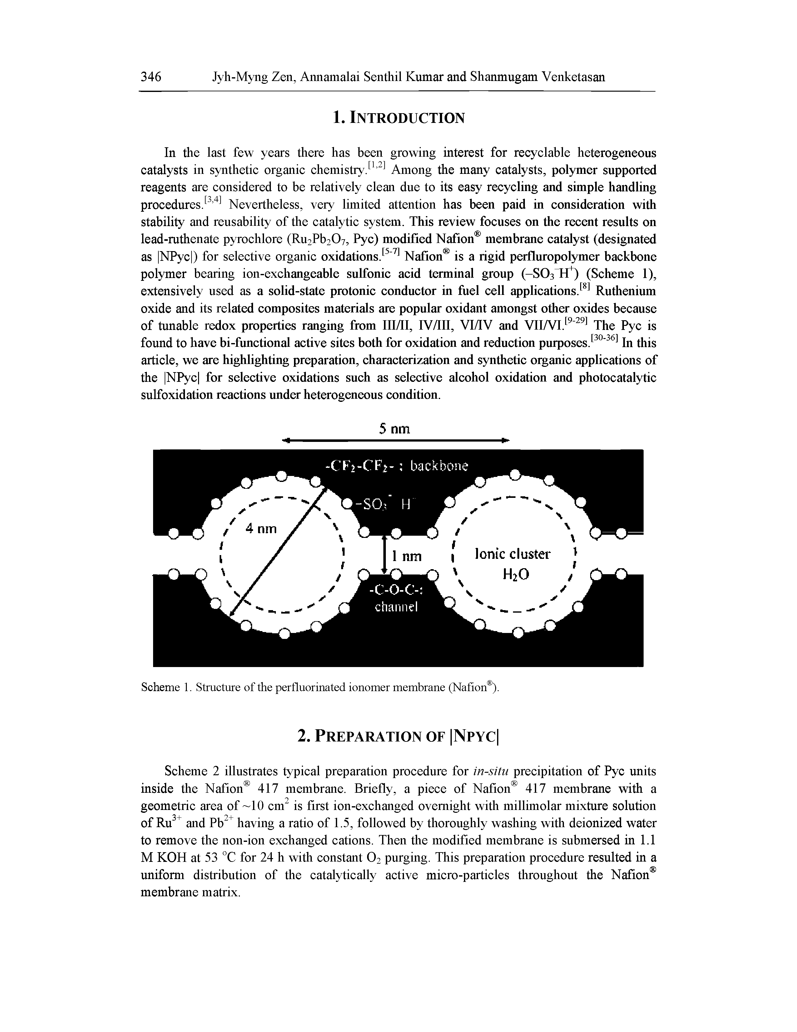 Scheme 1. Structure of the perfluorinated ionomer membrane (Nafion ).