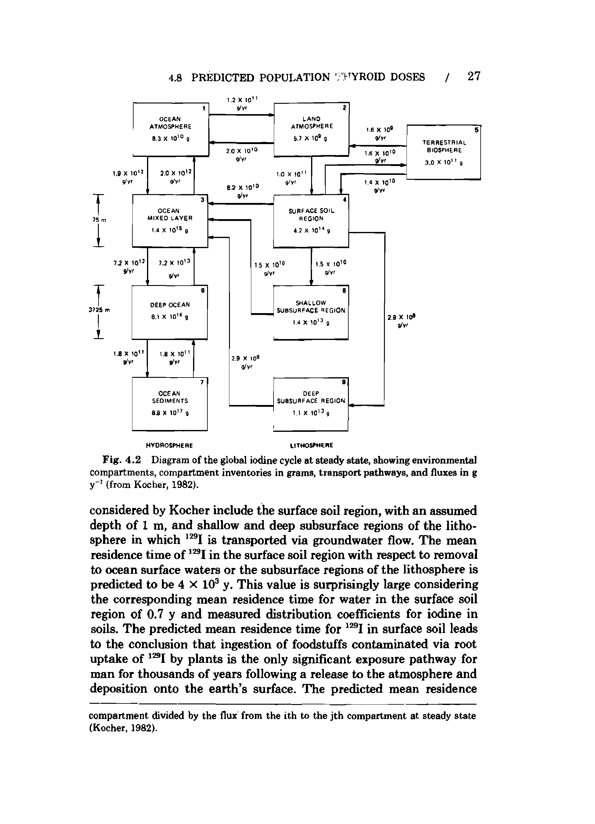 Fig. 4.2 Diagram of the global iodine cycle at steady state, showing environmental compartments, compartment inventories in grams, tran ort pathways, and fluxes in g y" (from Kocher, 1982).