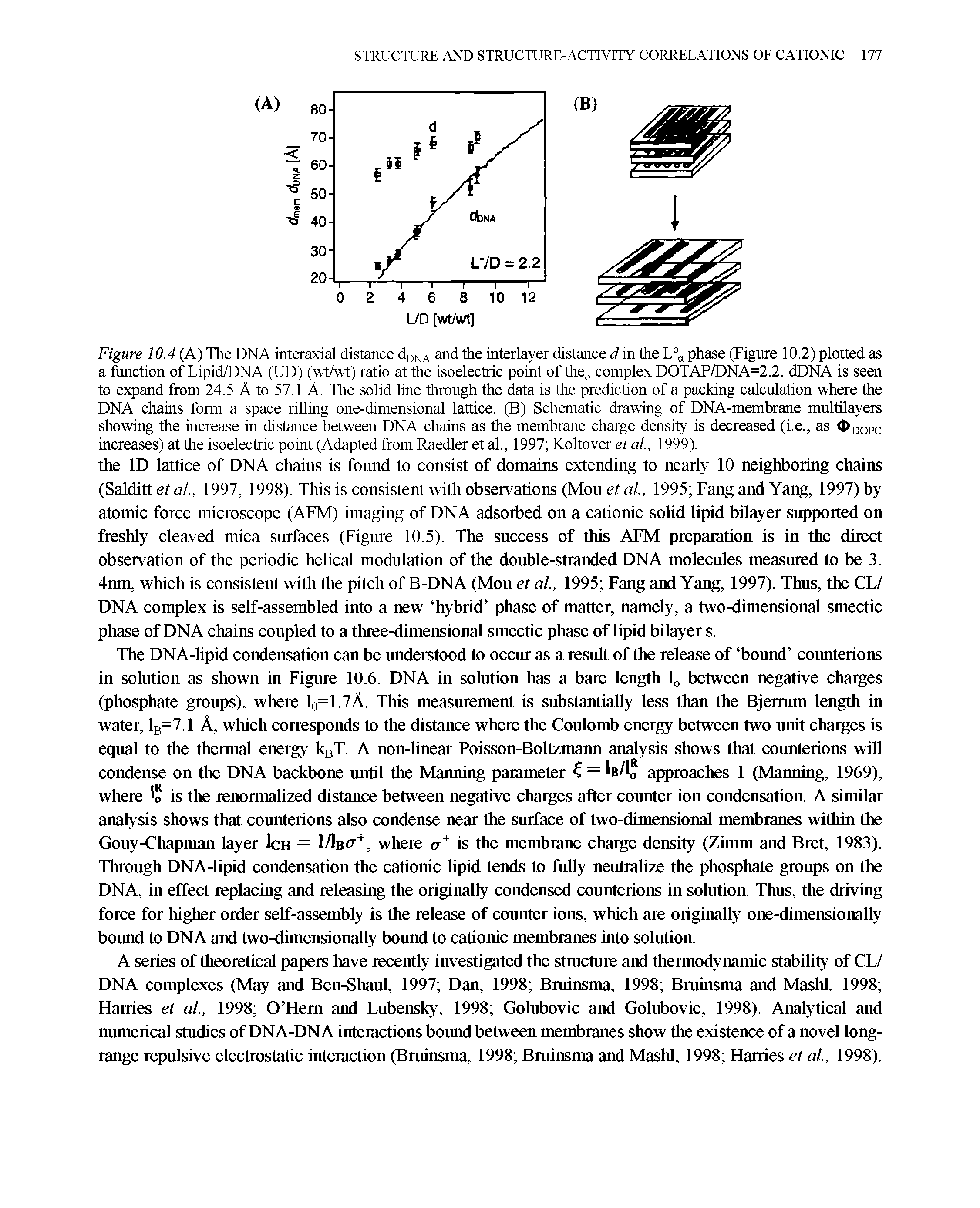 Figure 10.4 (A) The DNA interaxial distance dDNA and the interlayer distance d in the L°a phase (Figure 10.2) plotted as a function of Lipid/DNA (UD) (wt/wt) ratio at the isoelectric point of the0 complex DOTAP/DNA=2.2. dDNA is seen to expand from 24.5 A to 57.1 A. The solid line through the data is the prediction of a packing calculation where the DNA chains form a space rilling one-dimensional lattice. (B) Schematic drawing of DNA-membrane multilayers showing the increase in distance between DNA chains as the membrane charge density is decreased (i.e., as <t>DOpc increases) at the isoelectric point (Adapted from Raedler et al., 1997 Kohover etal., 1999).