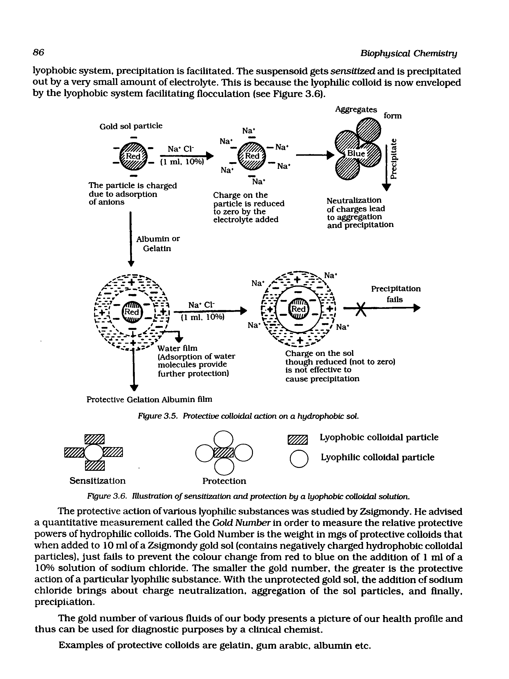 Figure 3.6. Illustration of sensitization and protection by a lyophobic colloidal solution.