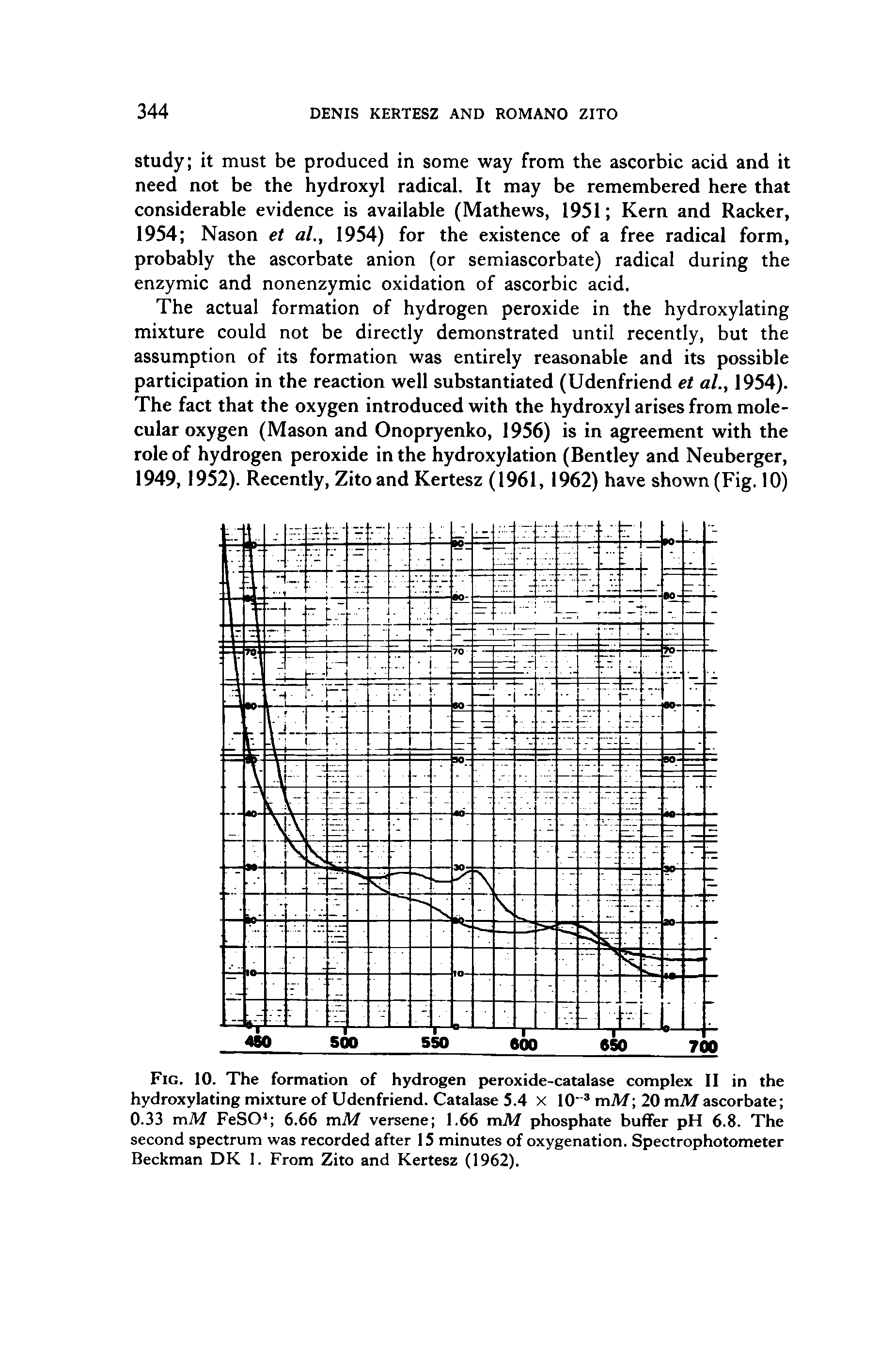 Fig. 10. The formation of hydrogen peroxide-catalase complex II in the hydroxylating mixture of Udenfriend. Catalase 5.4 x 10 mM 20 mM ascorbate 0.33 mM FeSO 6.66 mM versene 1.66 mM phosphate buffer pH 6.8. The second spectrum was recorded after 15 minutes of oxygenation. Spectrophotometer Beckman DK 1. From Zito and Kertesz (1962).