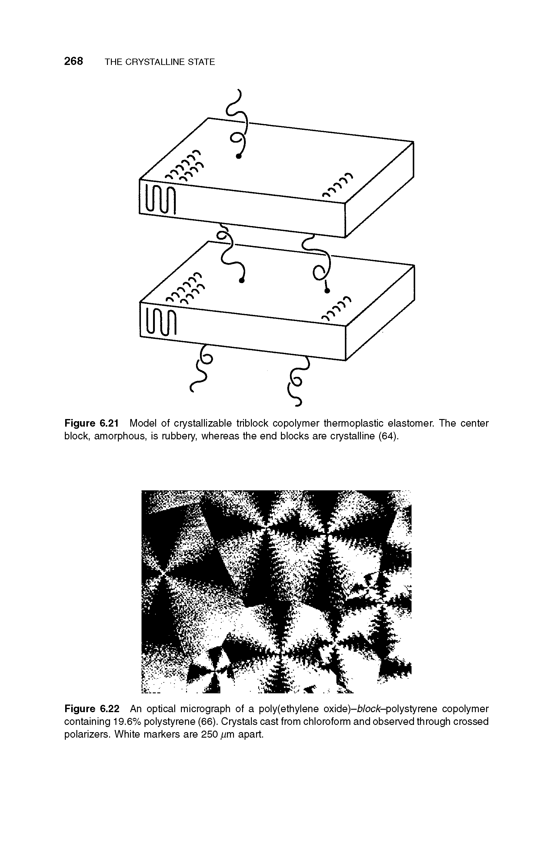 Figure 6.21 Model of crystallizable triblock copolymer thermoplastic elastomer. The center block, amorphous, is rubbery, whereas the end blocks are crystalline (64).