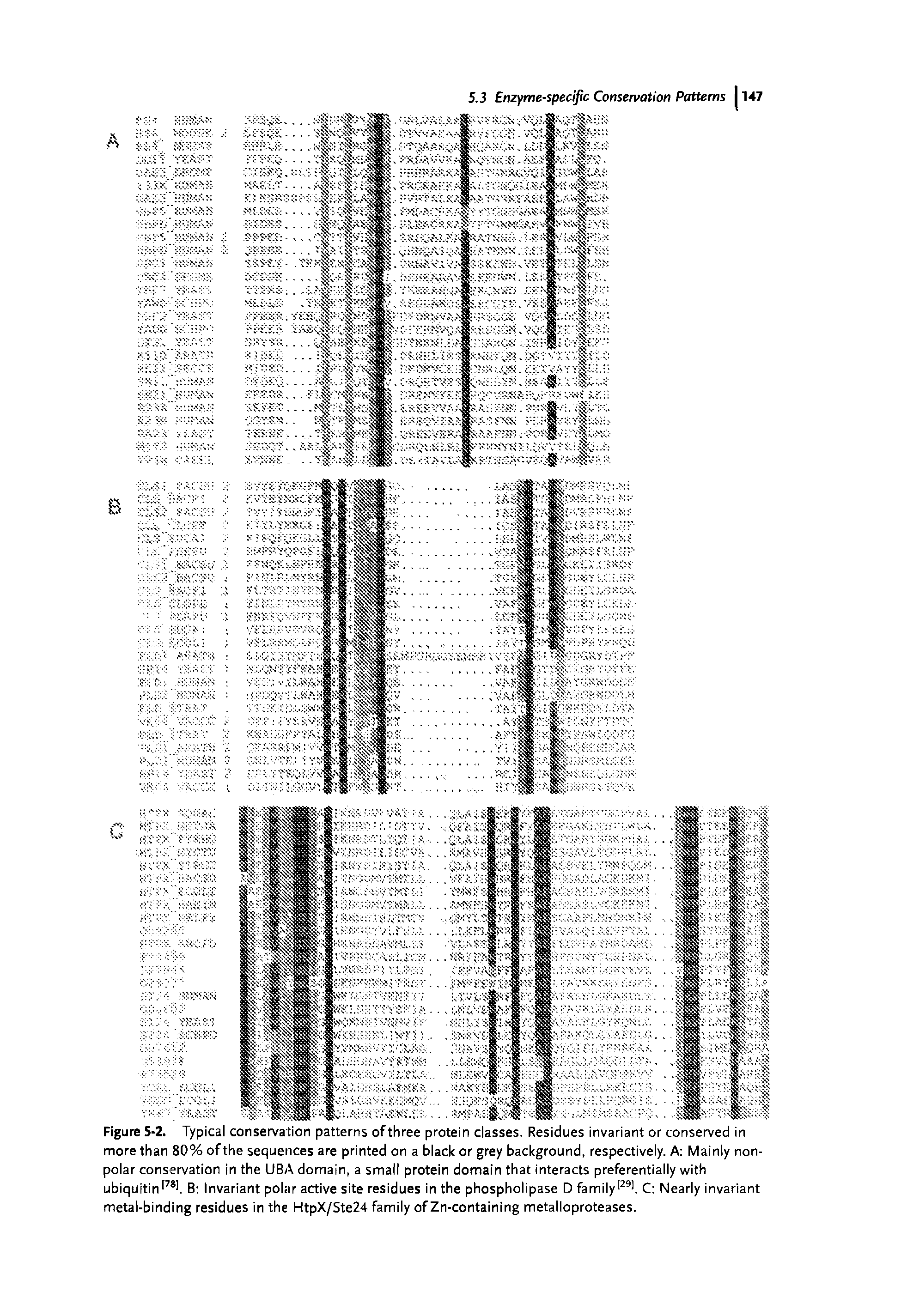 Figure 5-2. Typical conservation patterns of three protein classes. Residues invariant or conserved in more than 80% ofthe sequences are printed on a black or grey background, respectively. A Mainly nonpolar conservation in the UBA domain, a small protein domain that interacts preferentially with ubiquitin1781. B Invariant polar active site residues in the phospholipase D family1291. C Nearly invariant metal-binding residues in the HtpX/Ste24 family of Zn-containing metalloproteases.